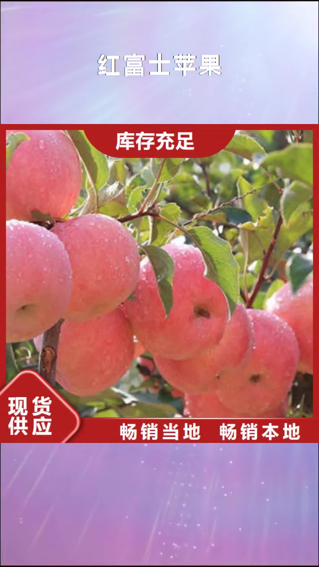 巴中 红富士苹果_【苹果 】货源直供