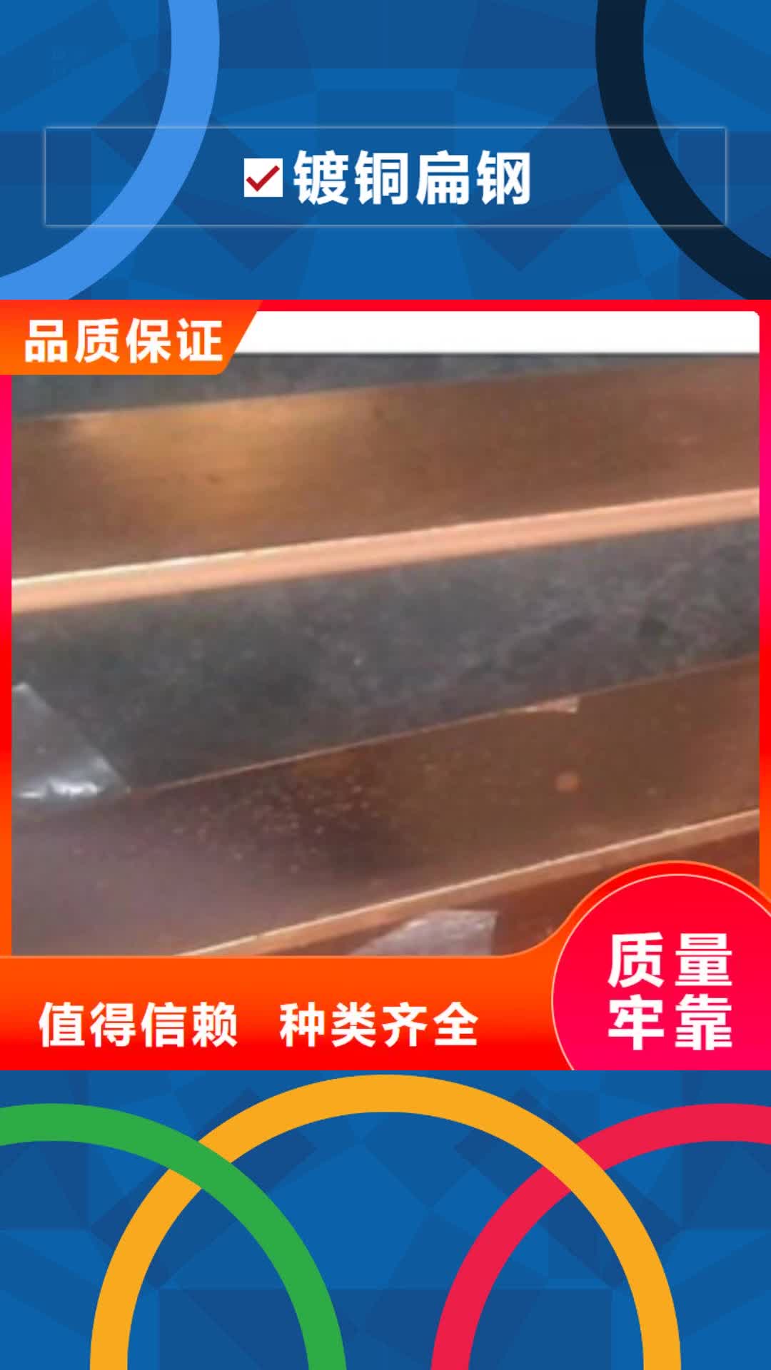 【广西 镀铜扁钢 热镀锌角钢质量牢靠】