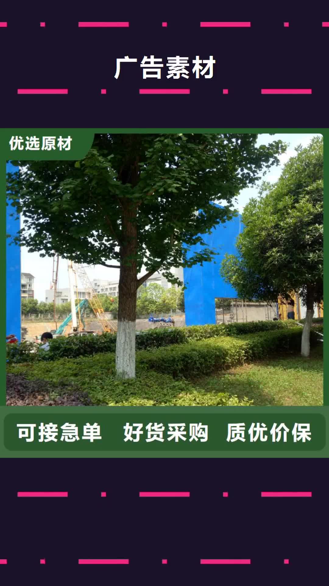 【上海 广告素材厂家实力雄厚】