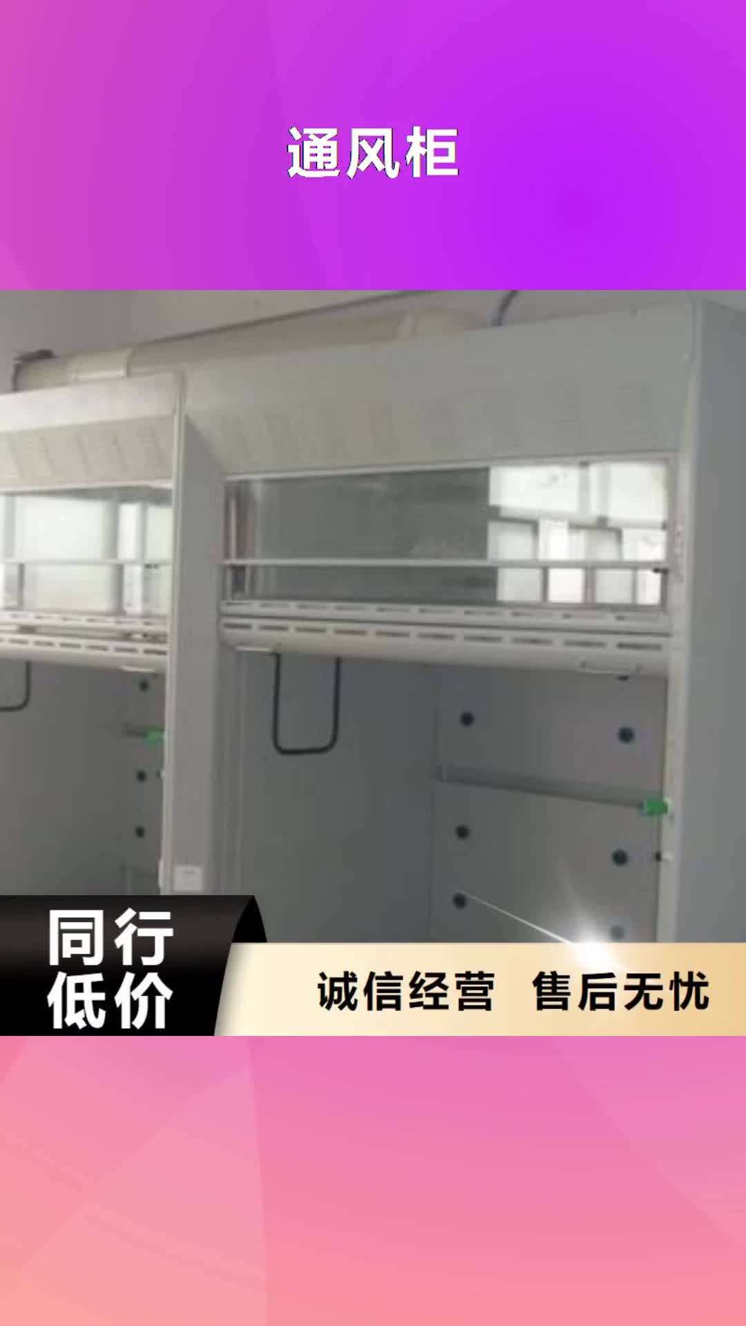 安顺 通风柜-【气瓶柜厂家】经久耐用