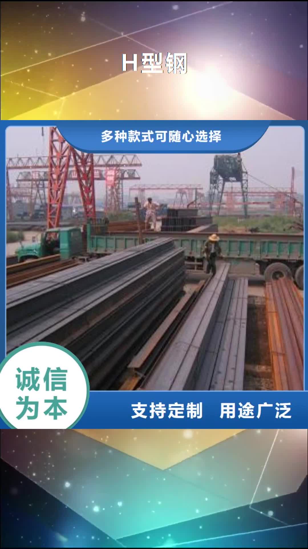 【枣庄 H型钢选择我们没错】