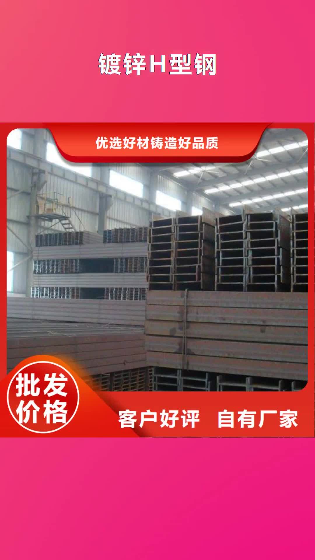 迪庆 镀锌H型钢_【超厚紫铜排】支持大小批量采购