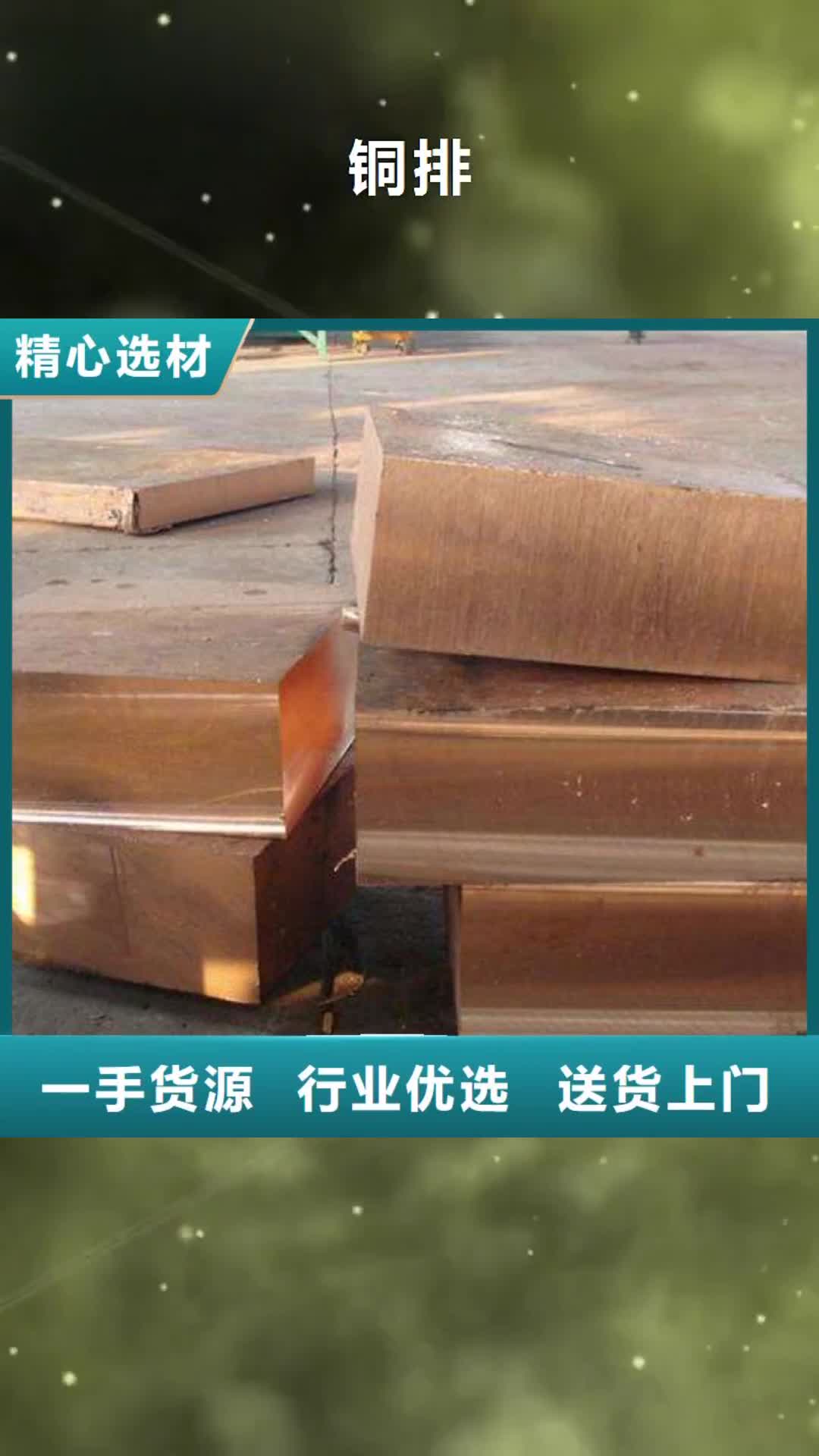 厦门 铜排【T2铜排材】制造生产销售