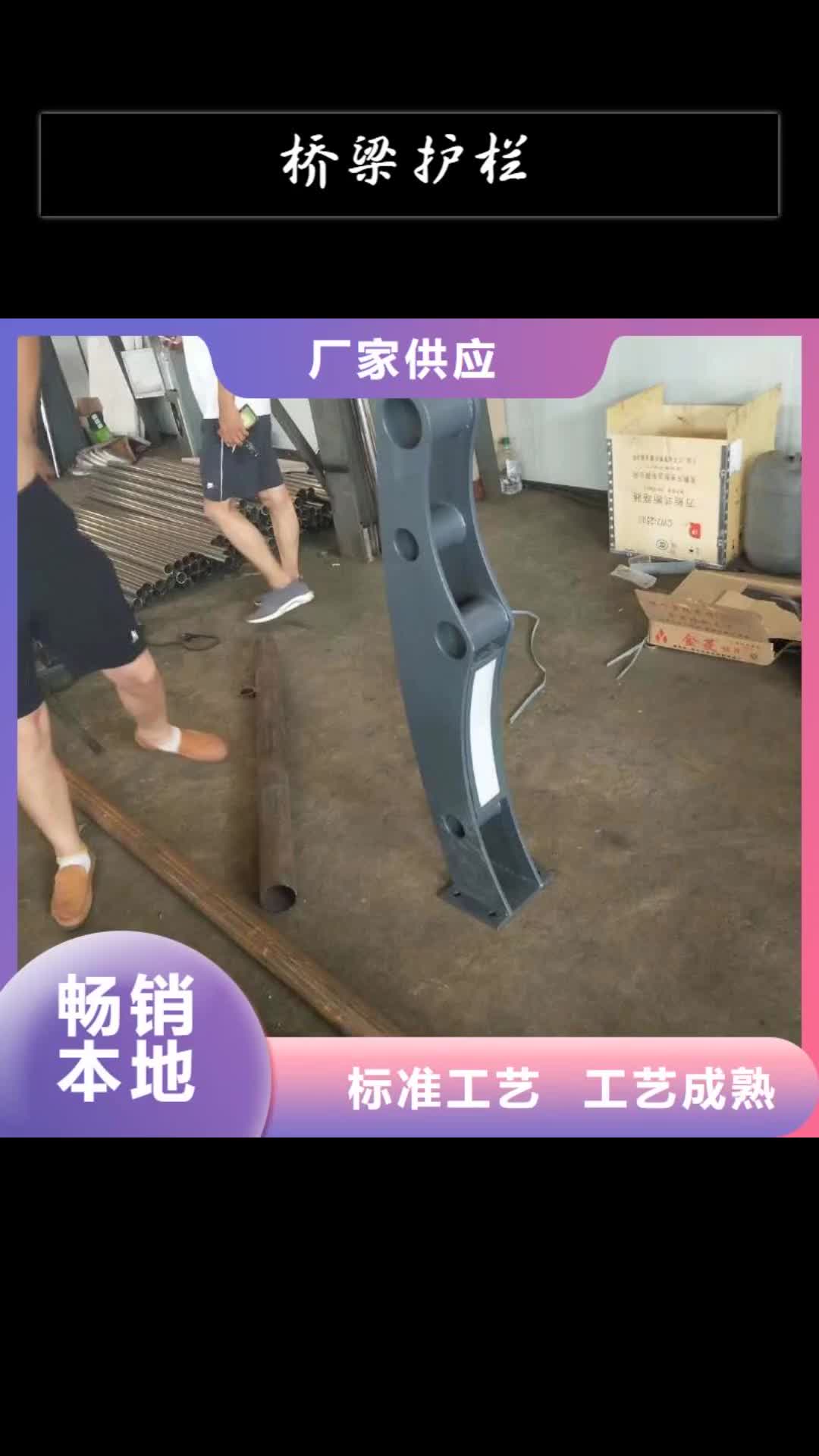 湘西 桥梁护栏【热镀锌立柱】诚信厂家