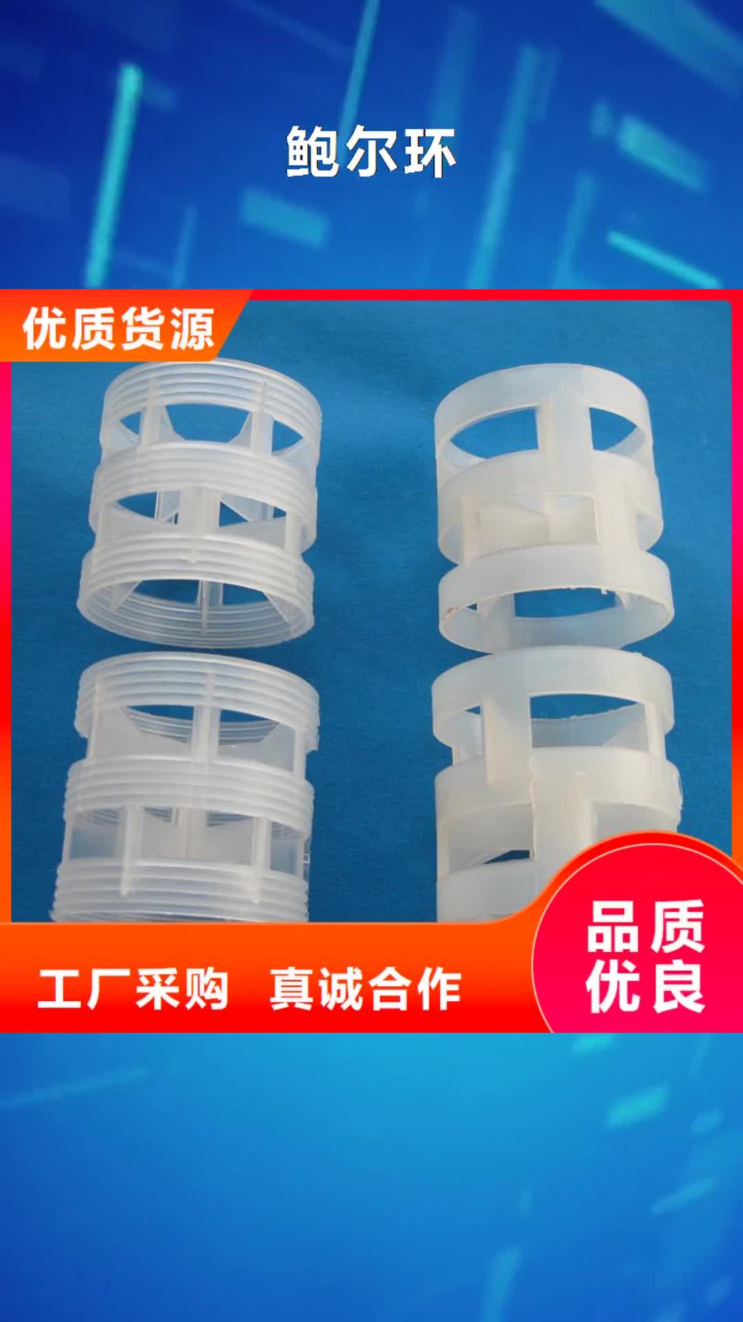 普洱【鲍尔环】,沸石实力优品