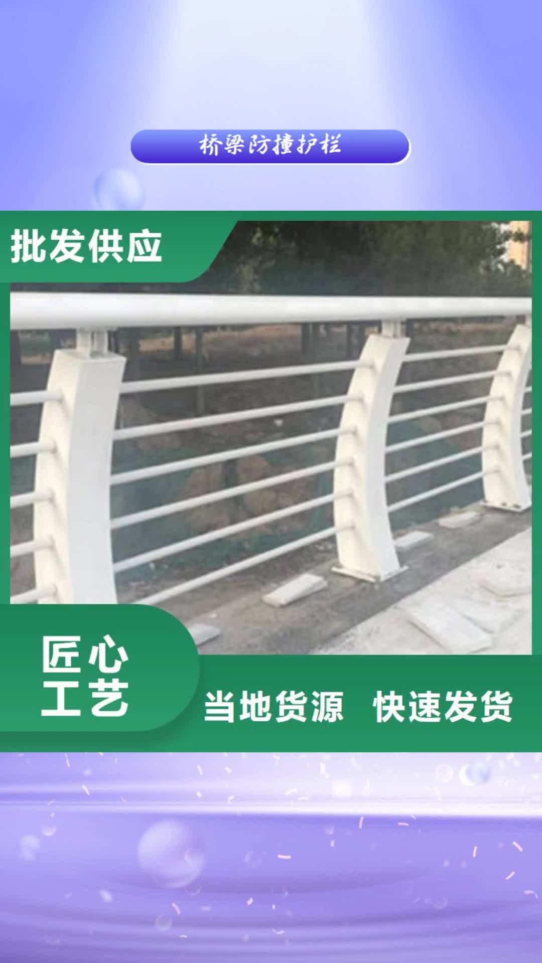 大兴安岭 桥梁防撞护栏根据要求定制