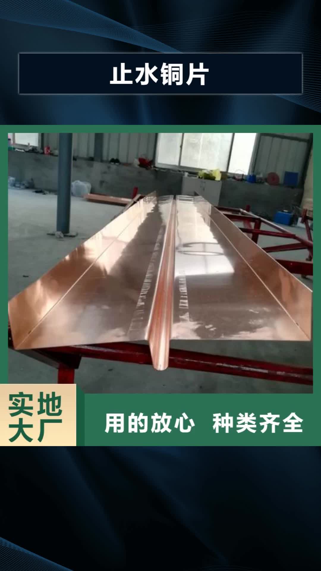 【榆林 止水铜片_中埋式橡胶止水带品质卓越】