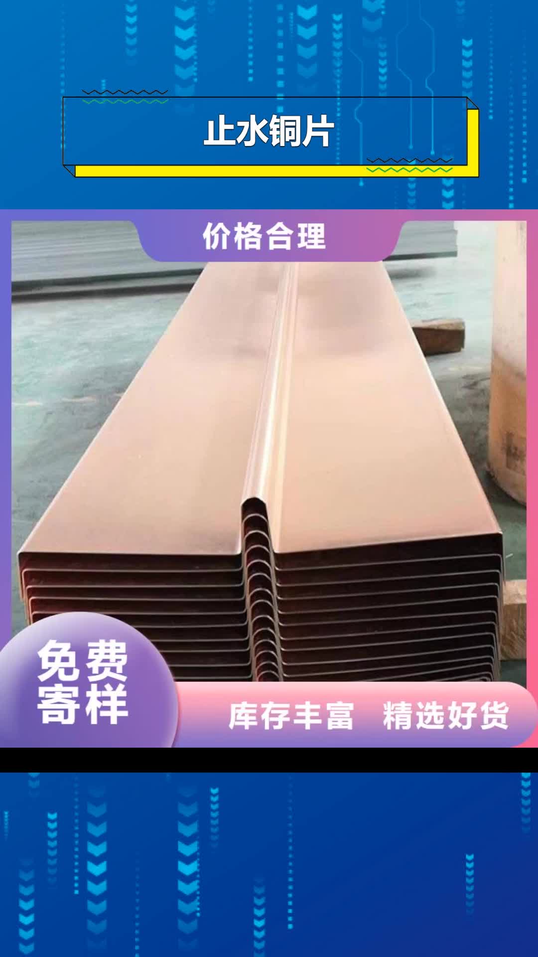 【湘潭 止水铜片PVC橡塑止水带可定制有保障】