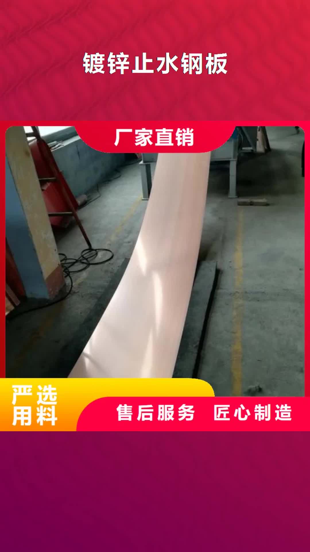 【惠州 镀锌止水钢板中埋式橡胶止水带专业生产品质保证】