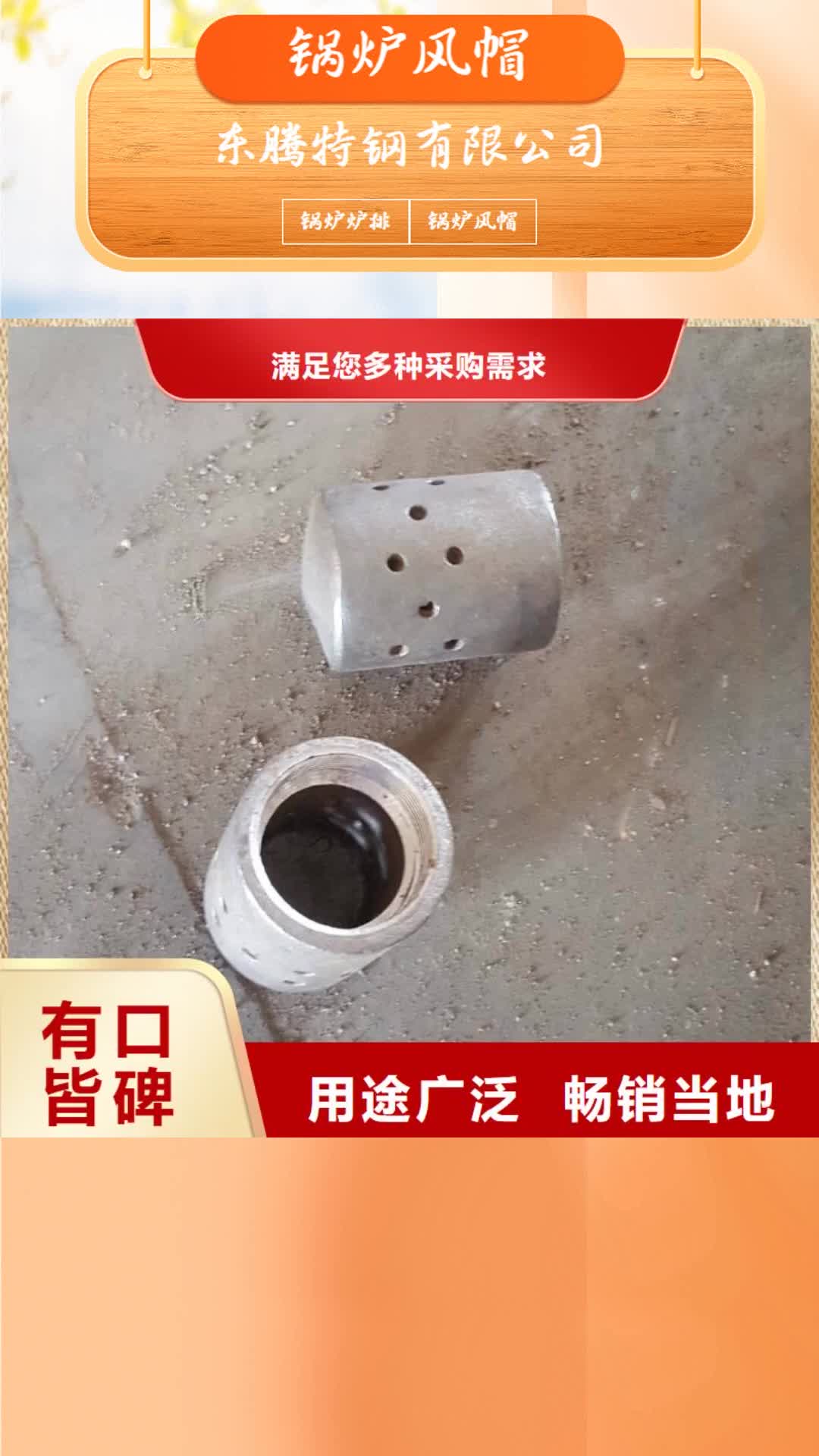 【景德镇 锅炉风帽客户信赖的厂家】