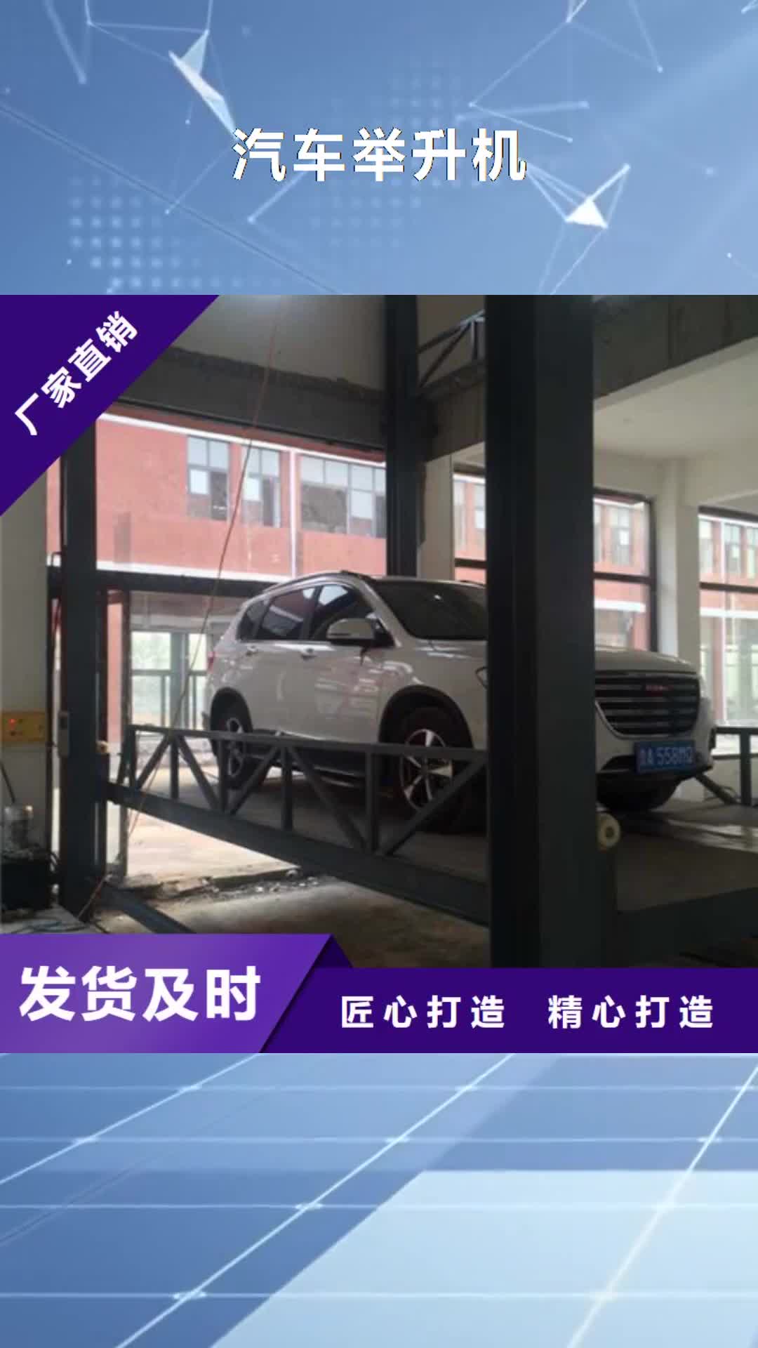 梅州【汽车举升机】,导轨式液压货梯厂家自营