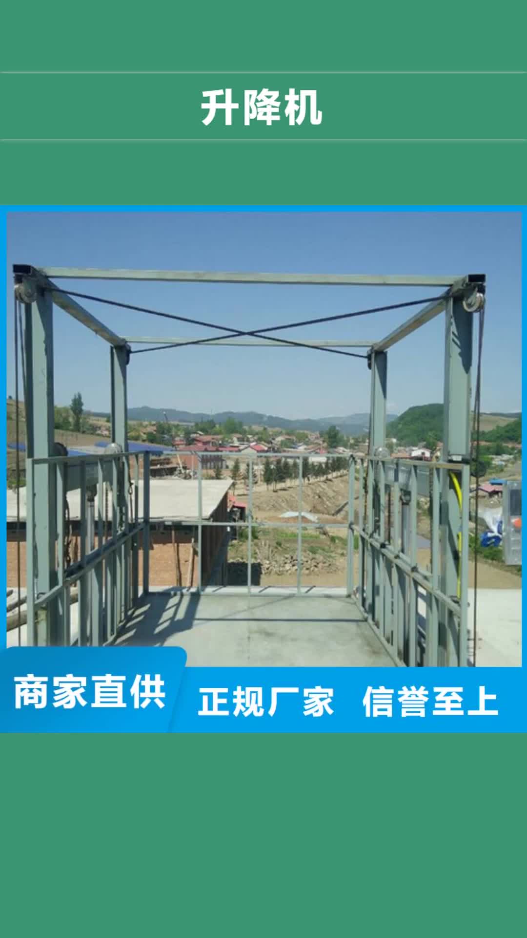 【潮州 升降机-仓储厂房货梯哪家好工厂批发】