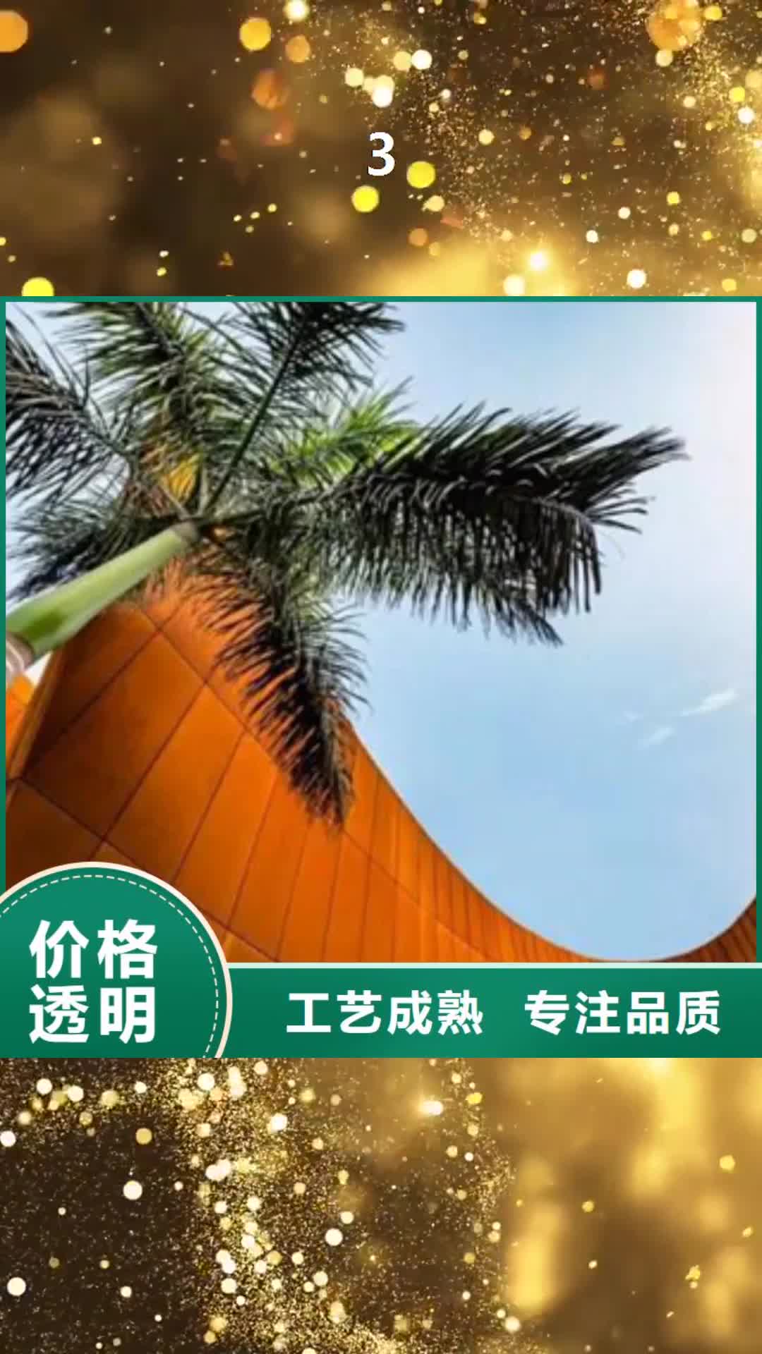 【新余 3 耐候钢板厂家精工打造】
