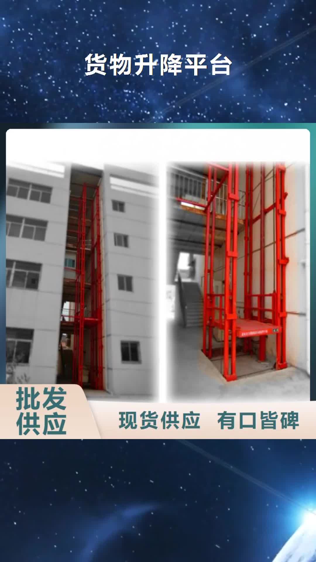【汕头 货物升降平台,别墅电梯专注细节专注品质】