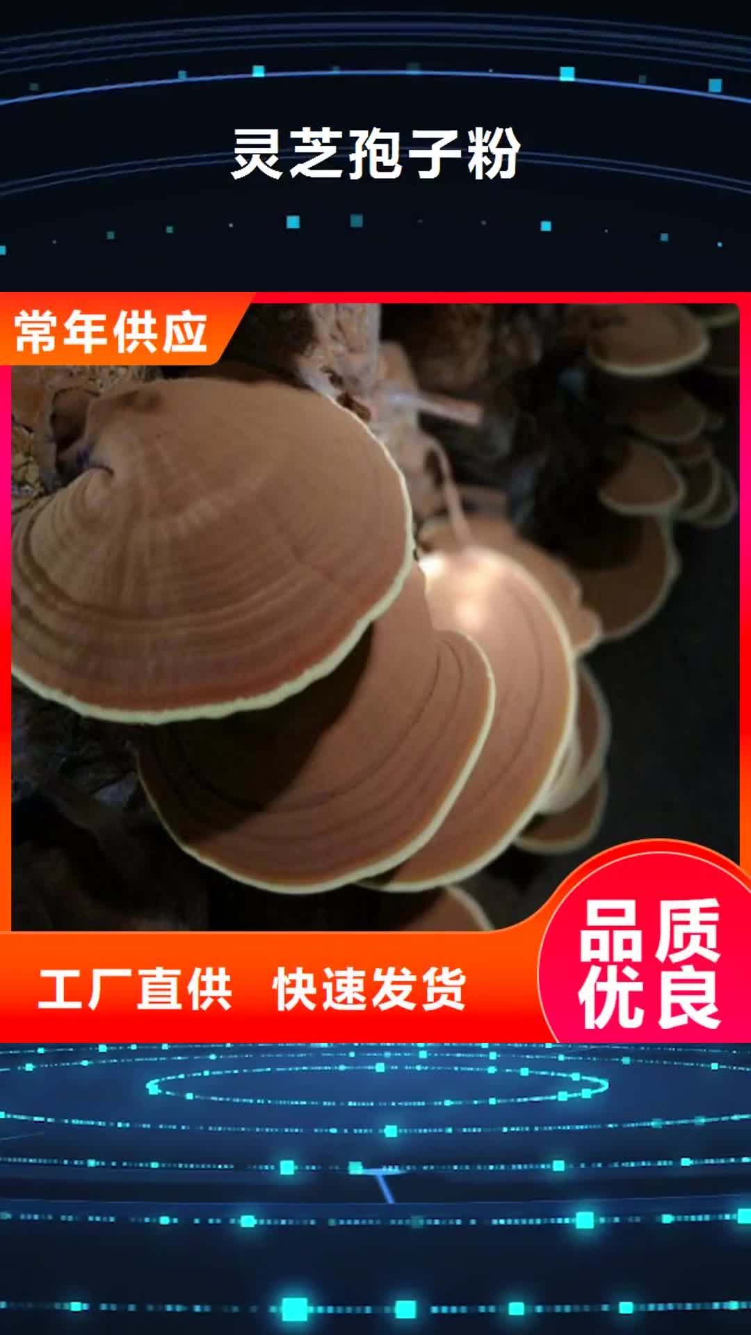 金昌【灵芝孢子粉】_灵芝菌种品类齐全