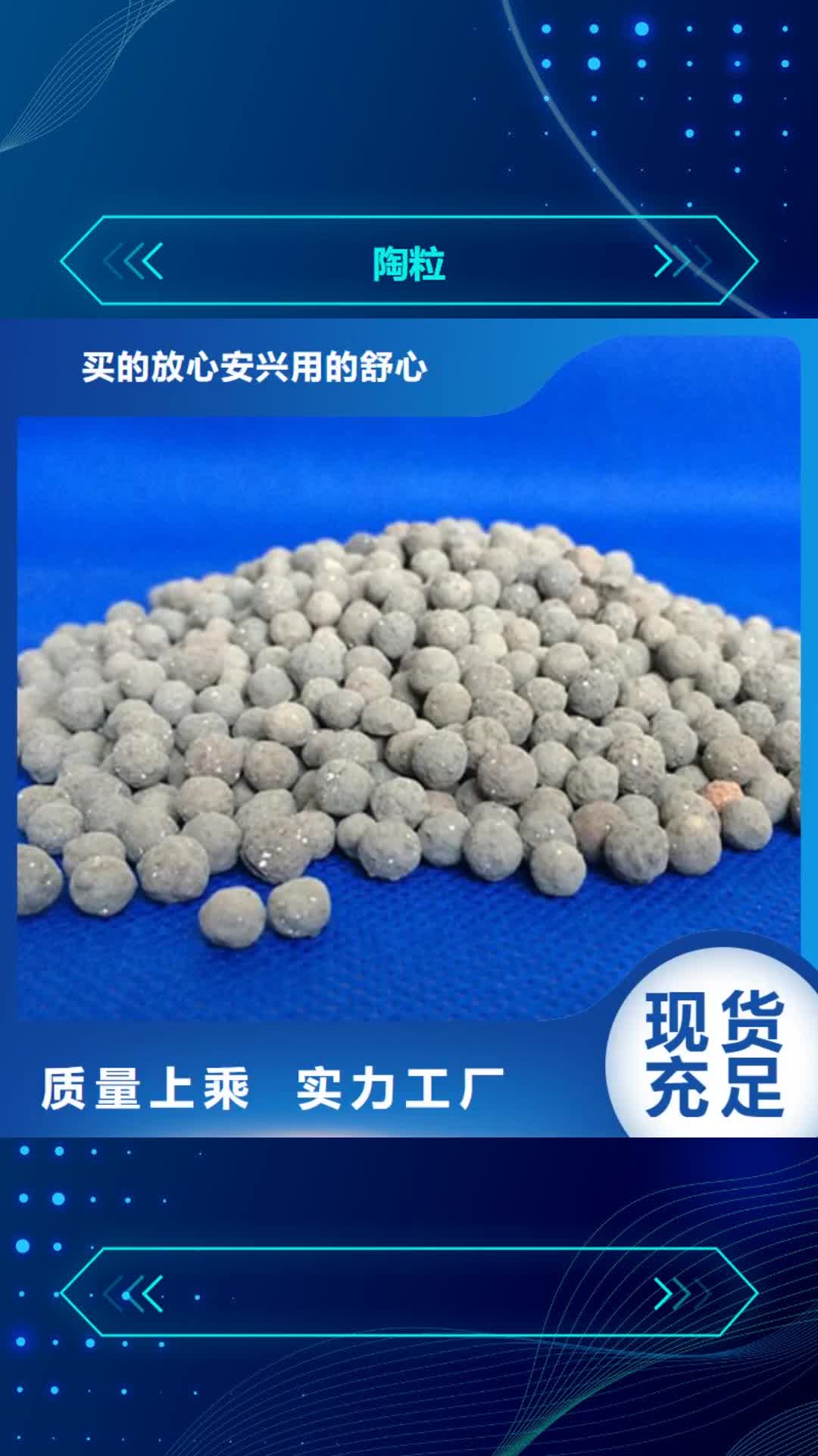 济南 陶粒-【悬浮球填料】符合行业标准