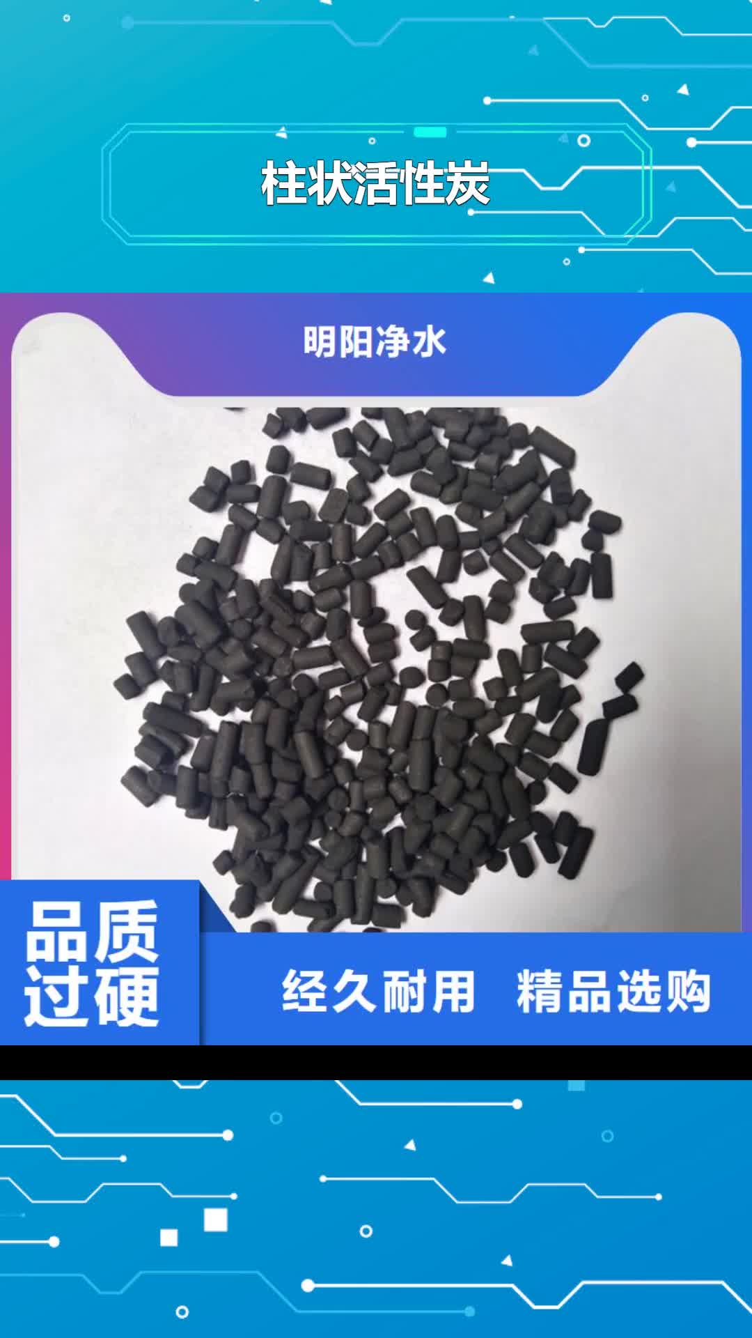 惠州 柱状活性炭【蜂窝斜管】实力派厂家