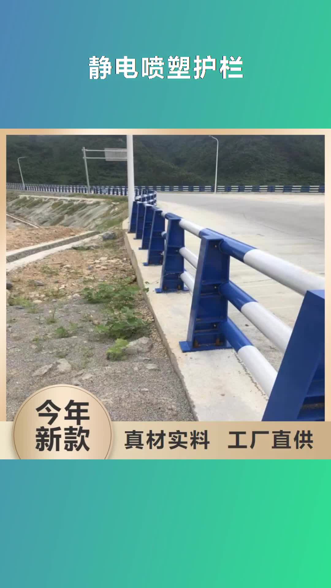 【贵州 静电喷塑护栏_【人车分流栏】以质量求生存】