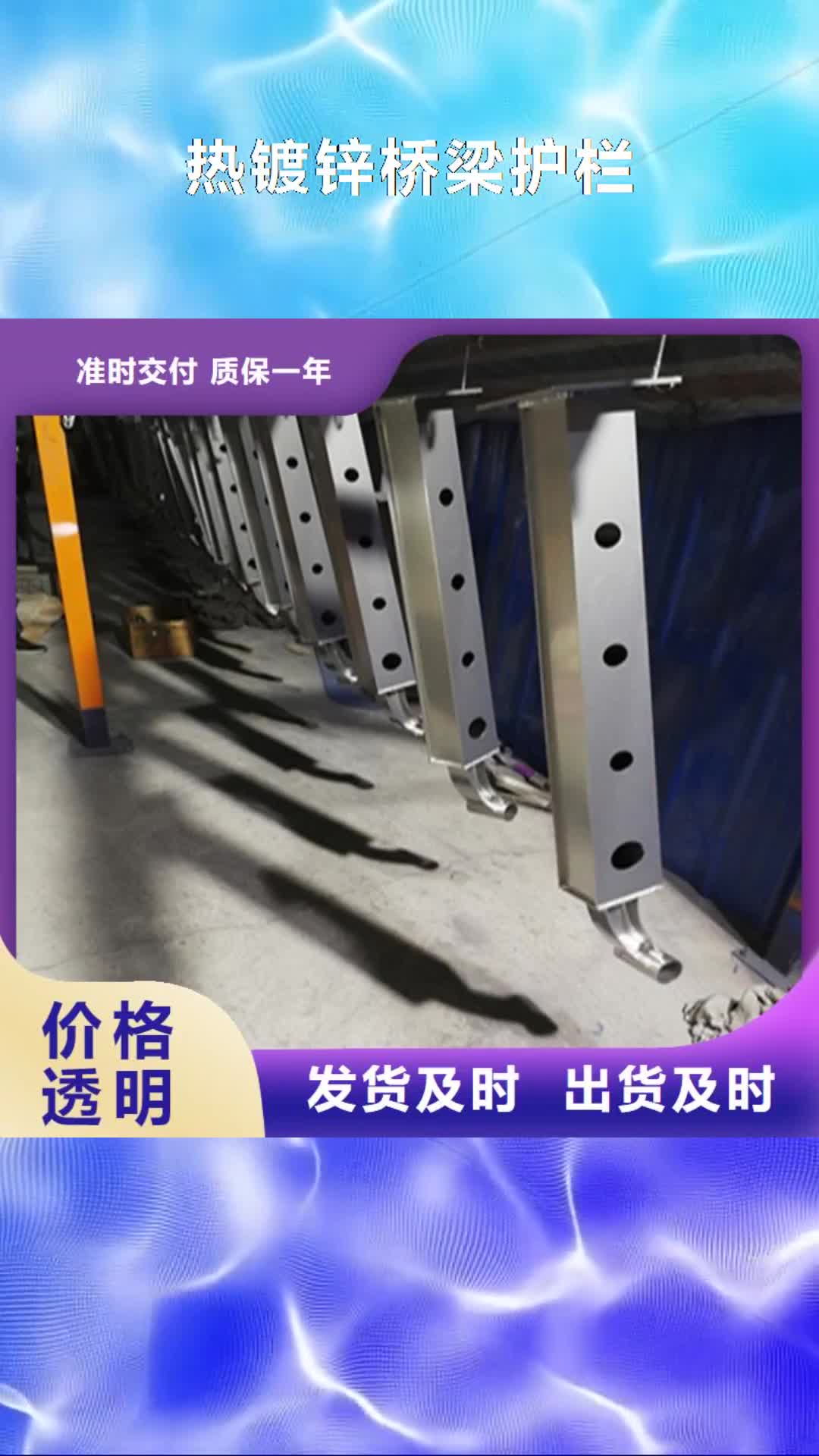 聊城 热镀锌桥梁护栏 【道路隔离护栏厂家】货源报价