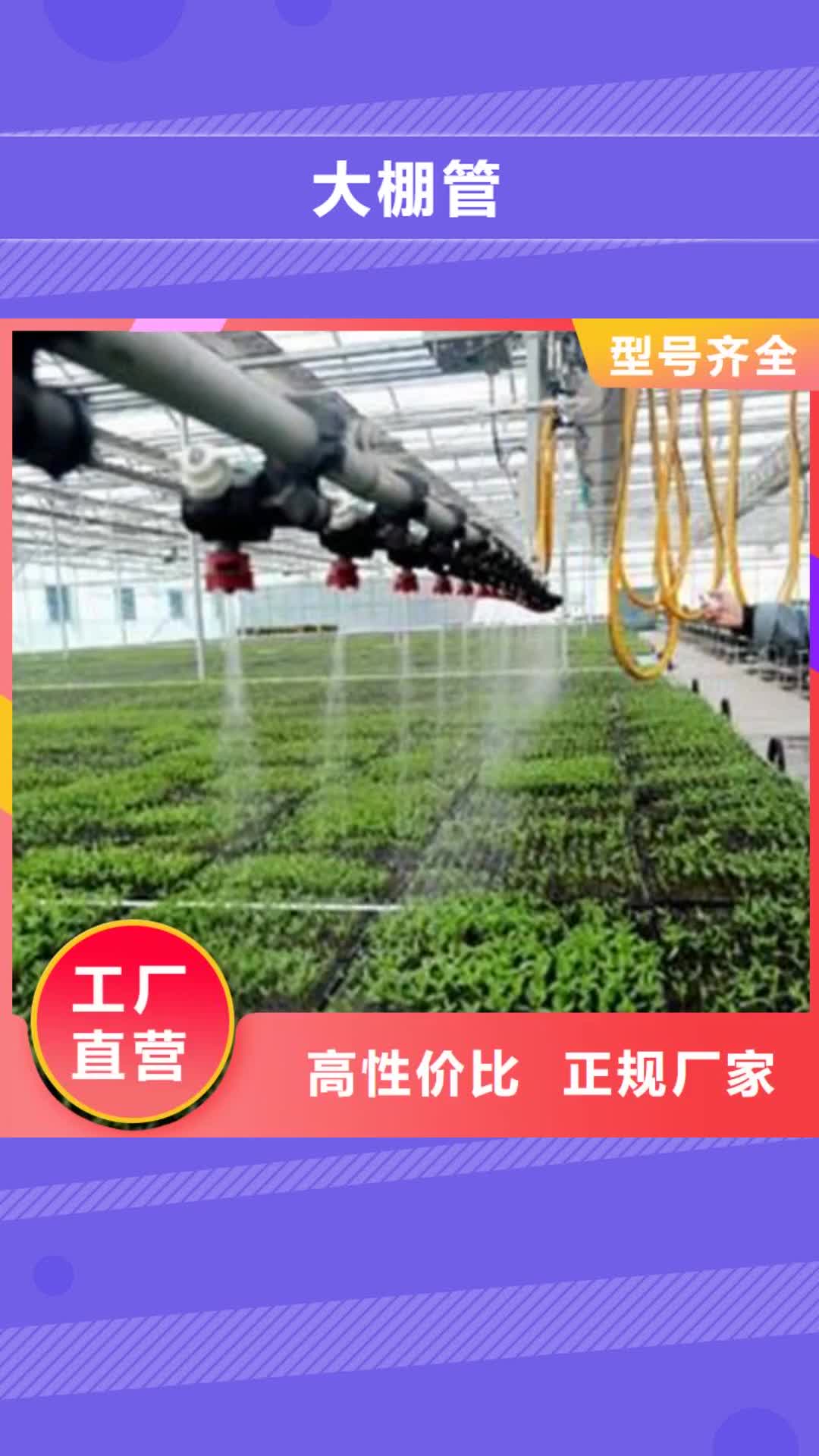 凉山 大棚管-【
镀锌方管】送货上门