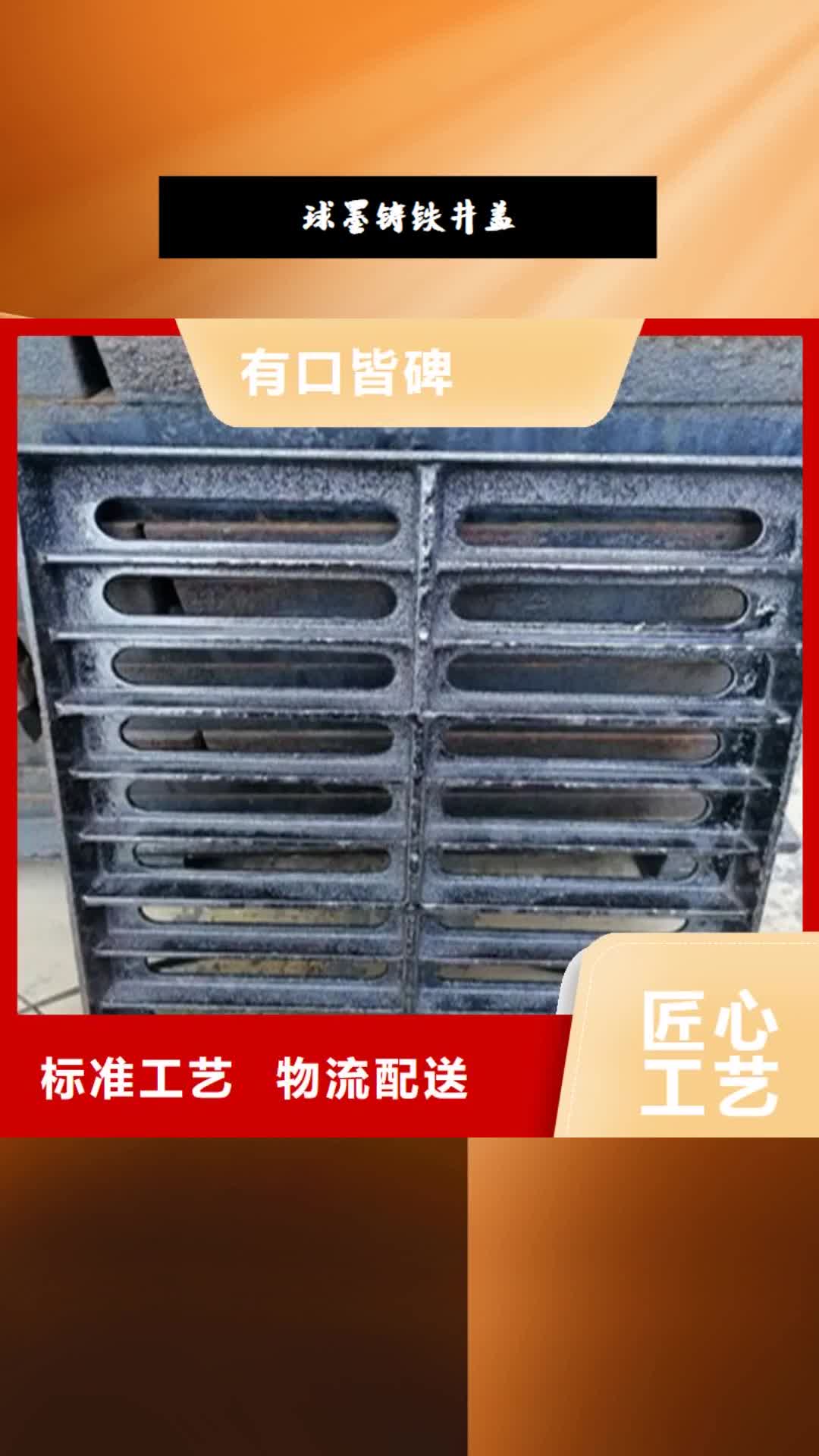 遂宁 球墨铸铁井盖【球墨铸铁篦子】自有厂家