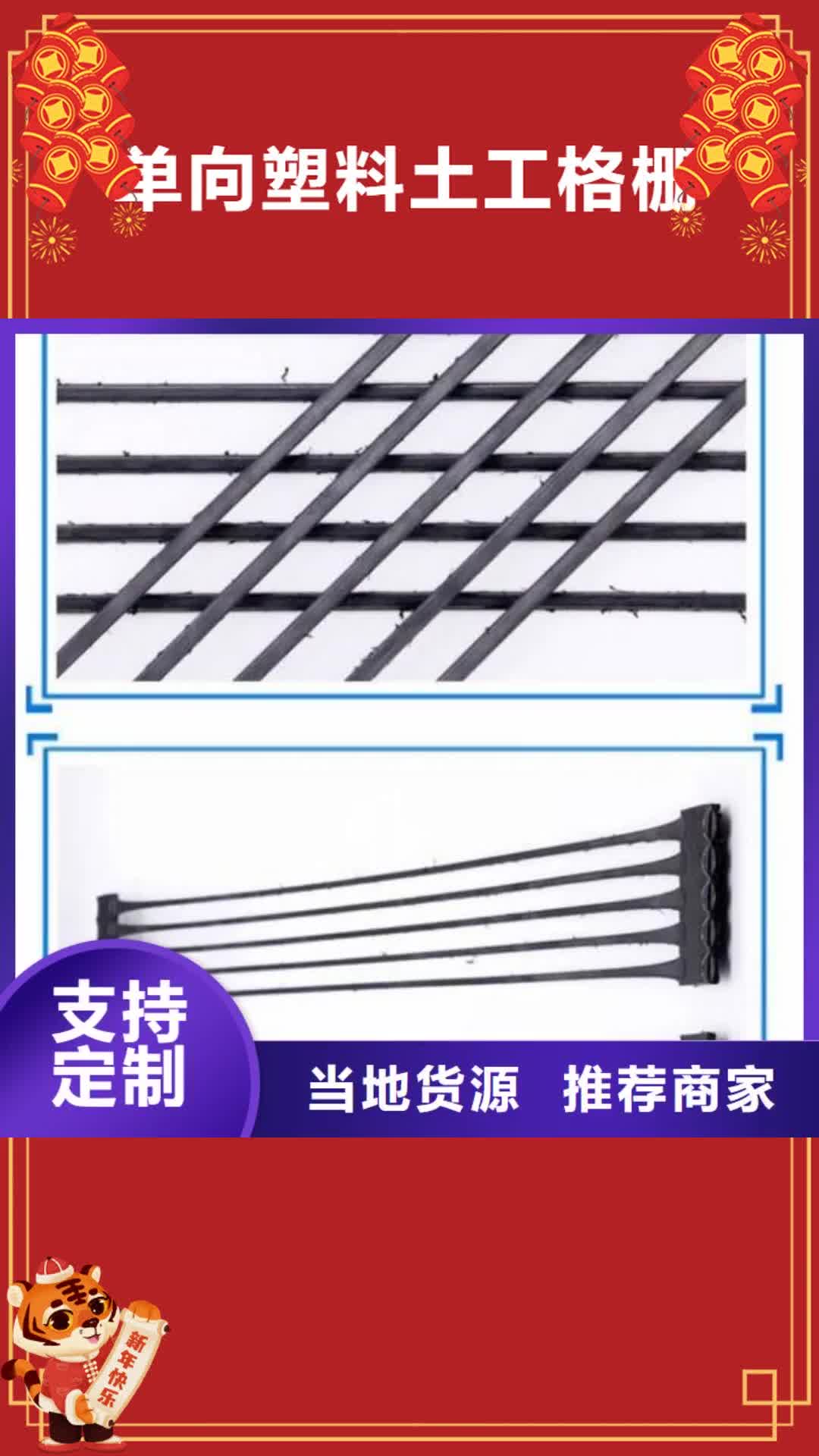 镇江【单向塑料土工格栅】三维植被网懂您所需