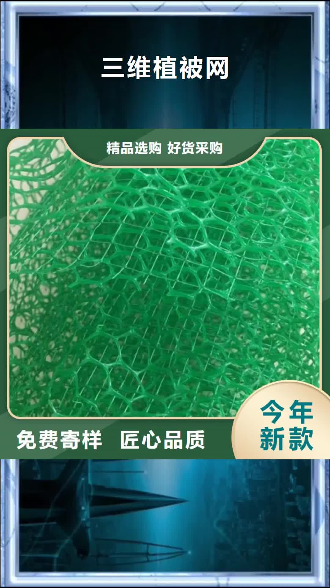 玉树【三维植被网】 土工格室市场行情