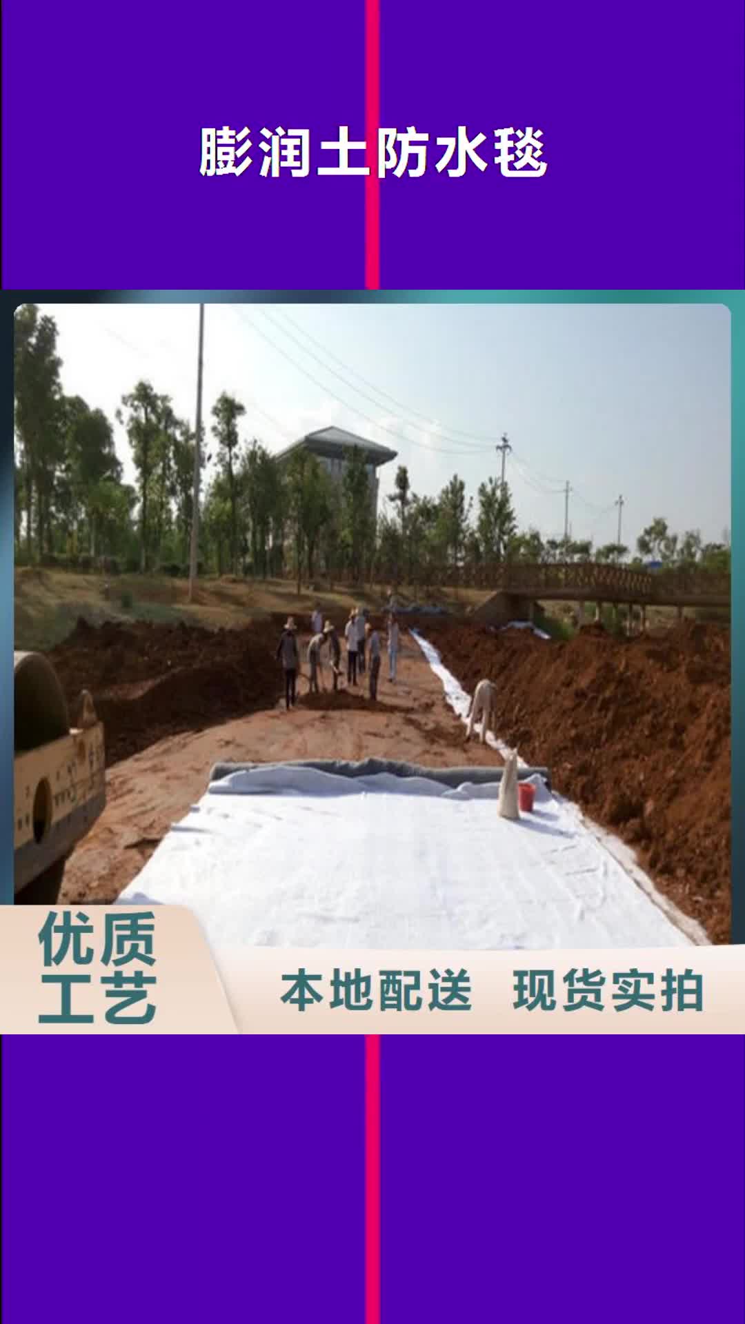 【嘉兴 膨润土防水毯 三维复合排水网实力优品】