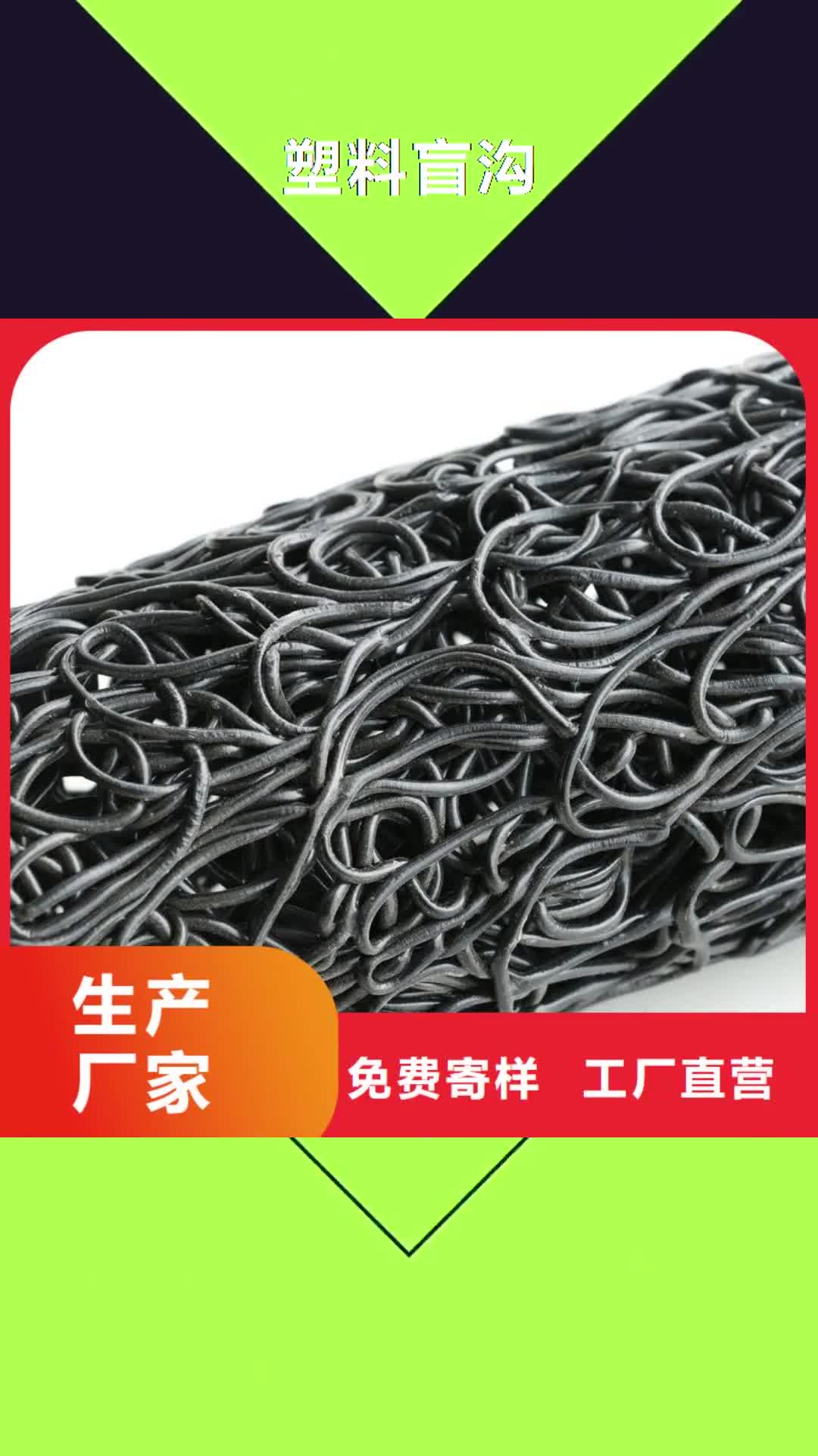 揭阳【塑料盲沟】-PP焊接土工格栅标准工艺