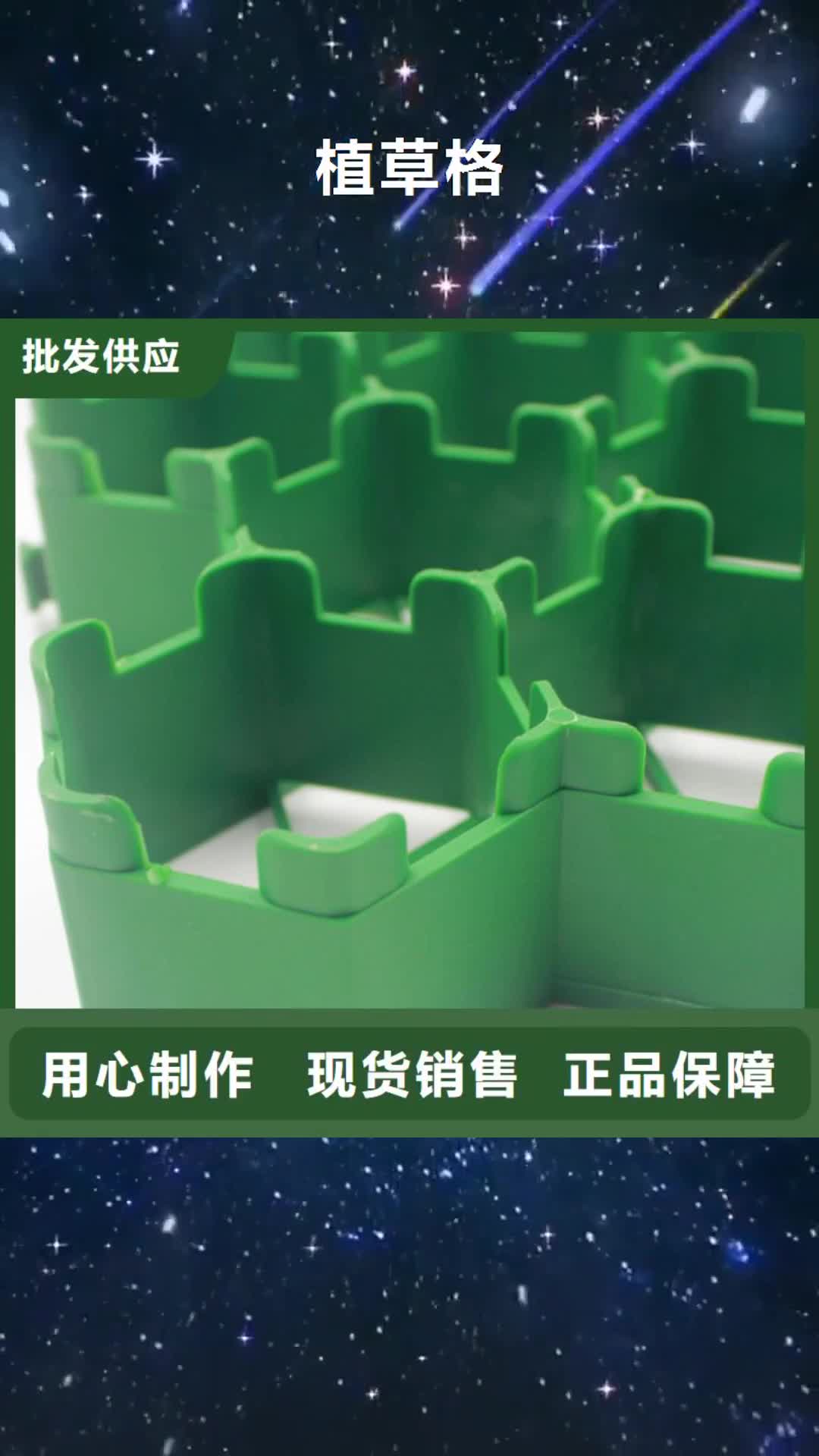 葫芦岛 植草格 【三维复合排水网】自有生产工厂