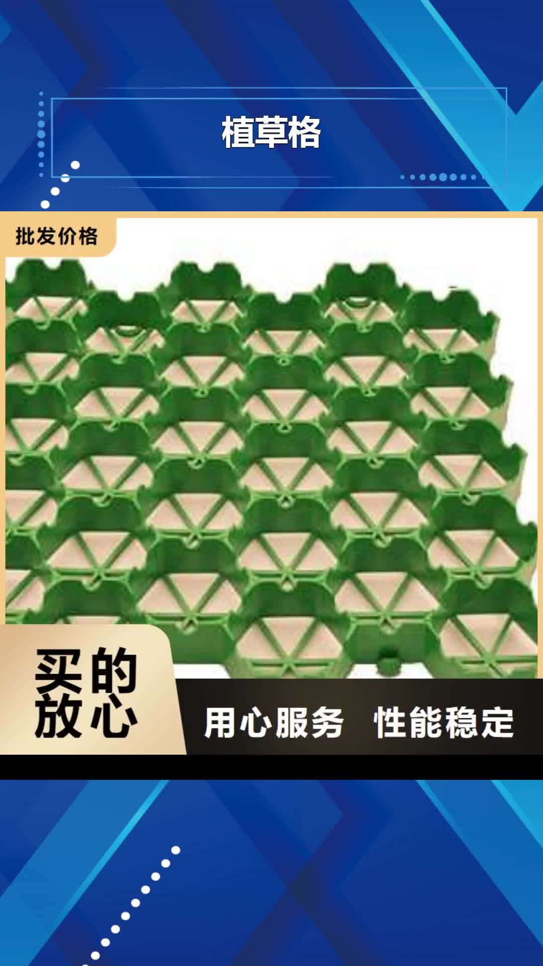 青海 植草格_【软式透水管】好品质选我们