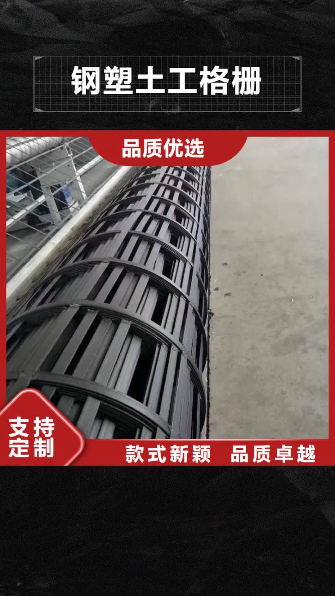 萍乡 钢塑土工格栅-【塑料土工格栅】敢与同行比质量
