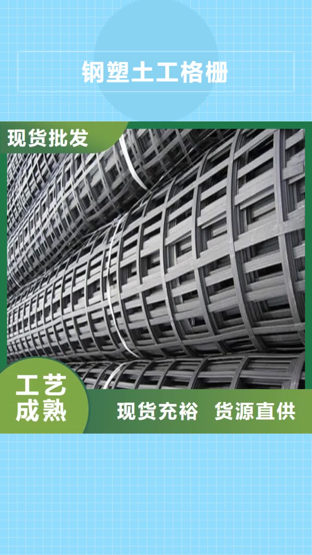 【泰州 钢塑土工格栅-养殖膜一站式采购商家】