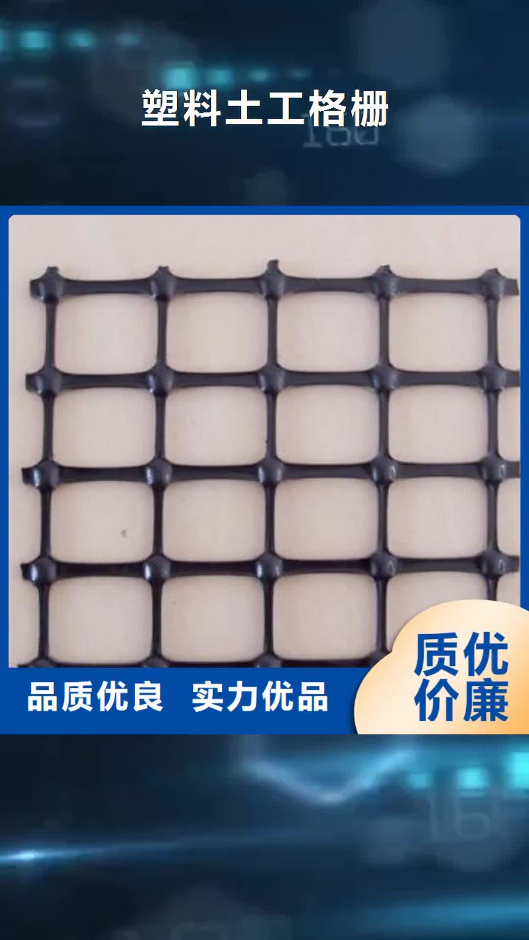 无锡 塑料土工格栅,【三维土工网垫】支持非标定制