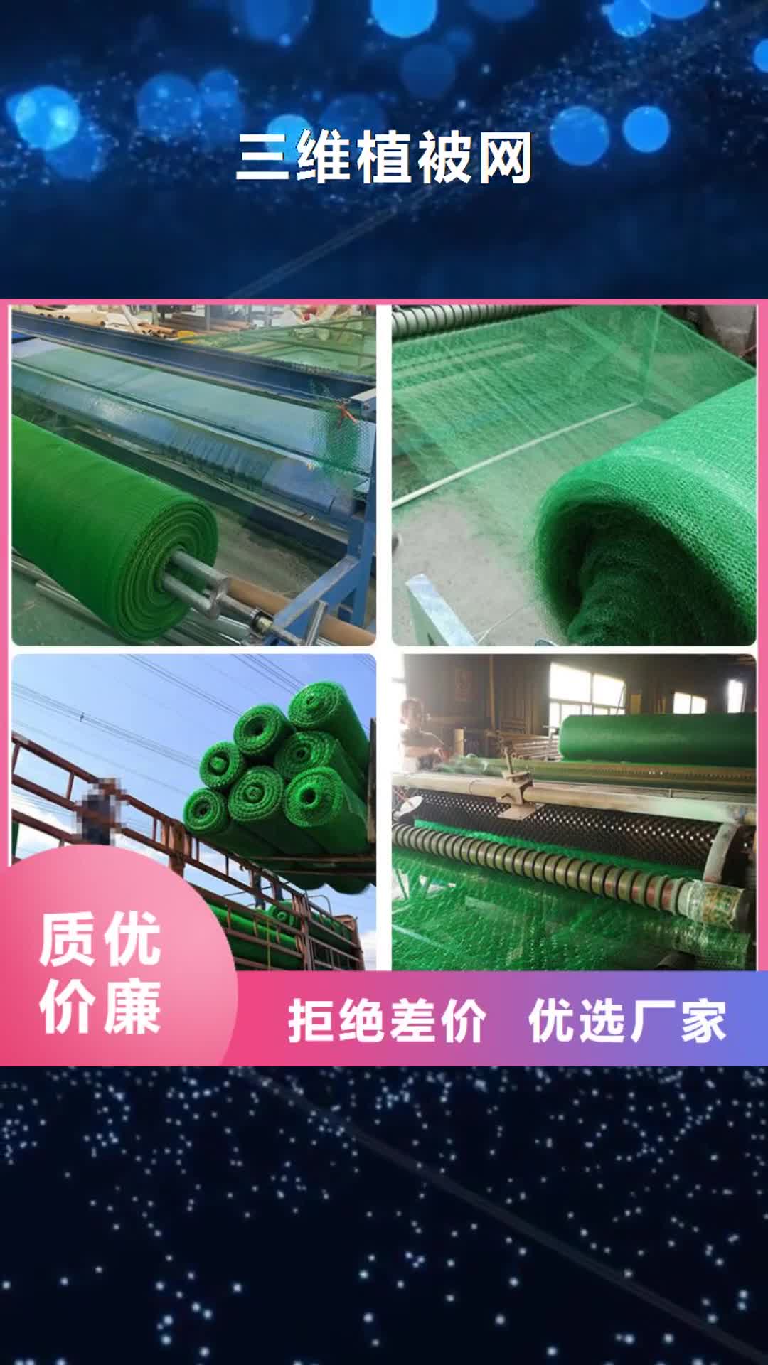 济宁 三维植被网,【钢塑土工格栅】购买的是放心