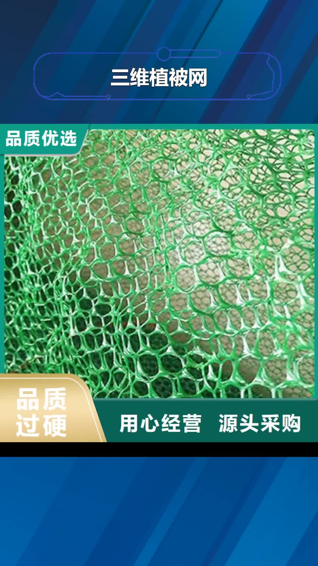 三亚【三维植被网】-反滤土工布品质服务诚信为本