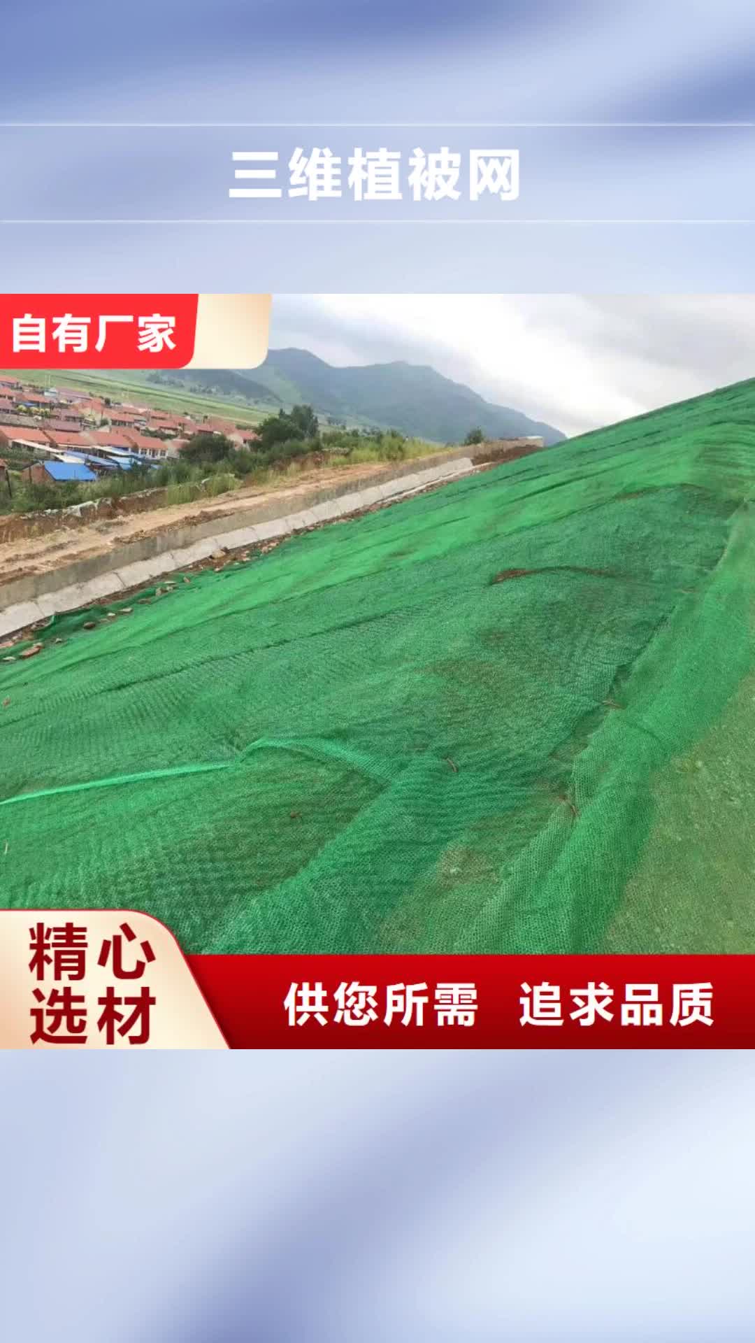 【湖州 三维植被网 钢塑土工格栅严格把关质量放心】