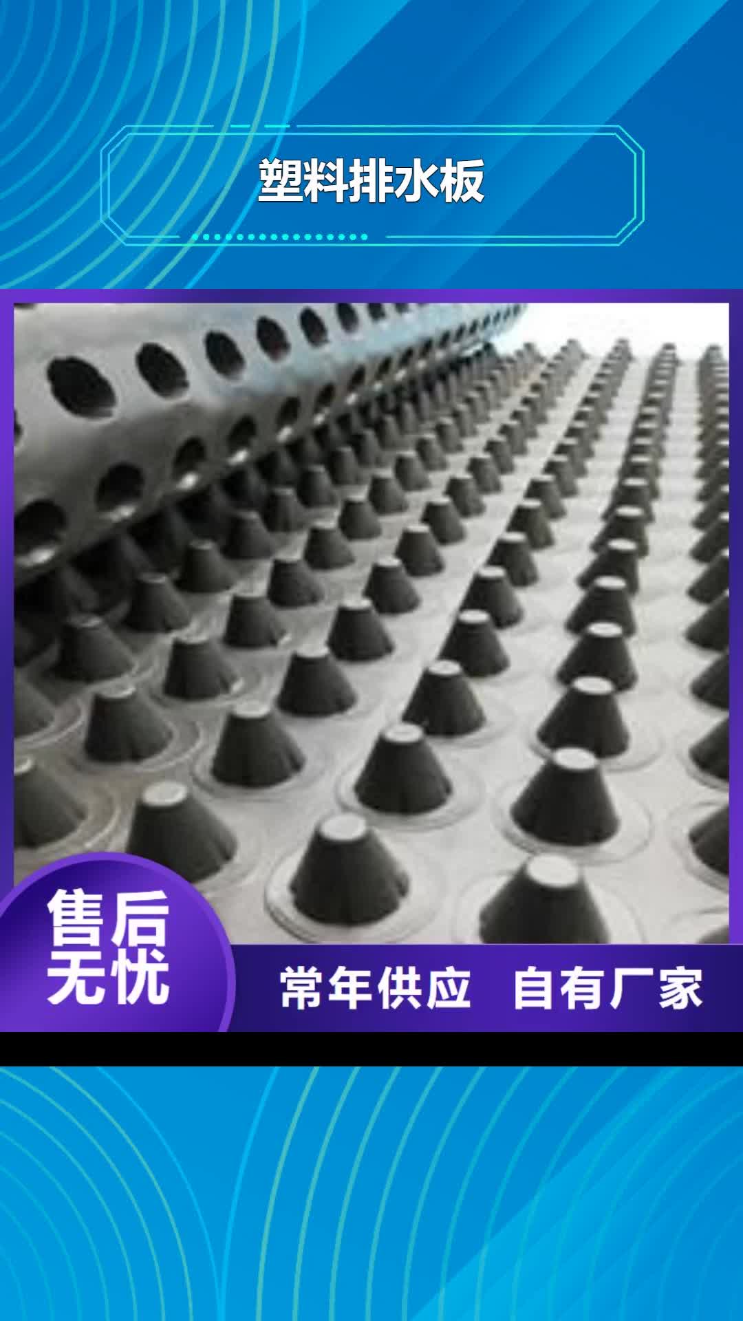 哈尔滨【塑料排水板】,双向土工格栅研发生产销售