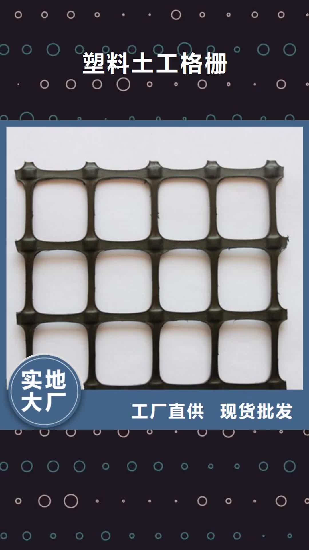 【保定 塑料土工格栅,双向塑料格栅 好品质售后无忧】