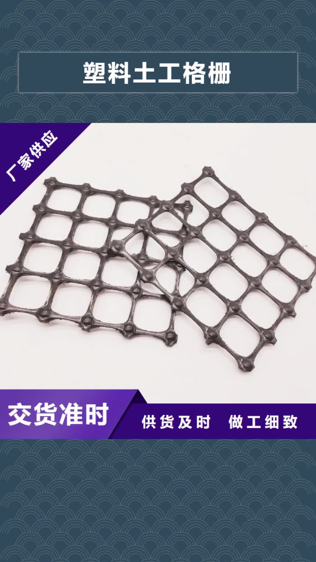 【邯郸 塑料土工格栅,双向塑料格栅 厂家直营】