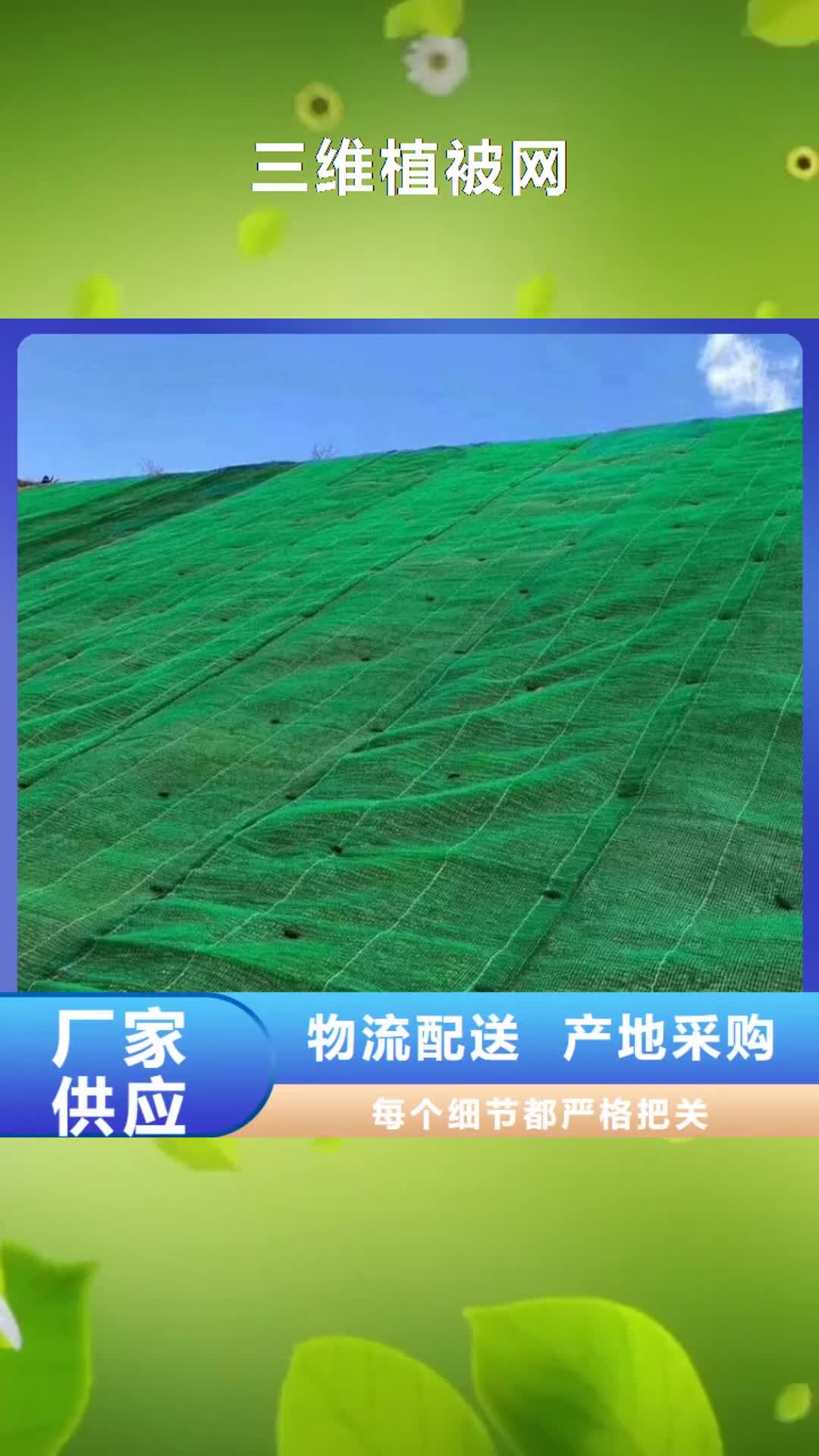 南平【三维植被网】_防水土工布生产厂家