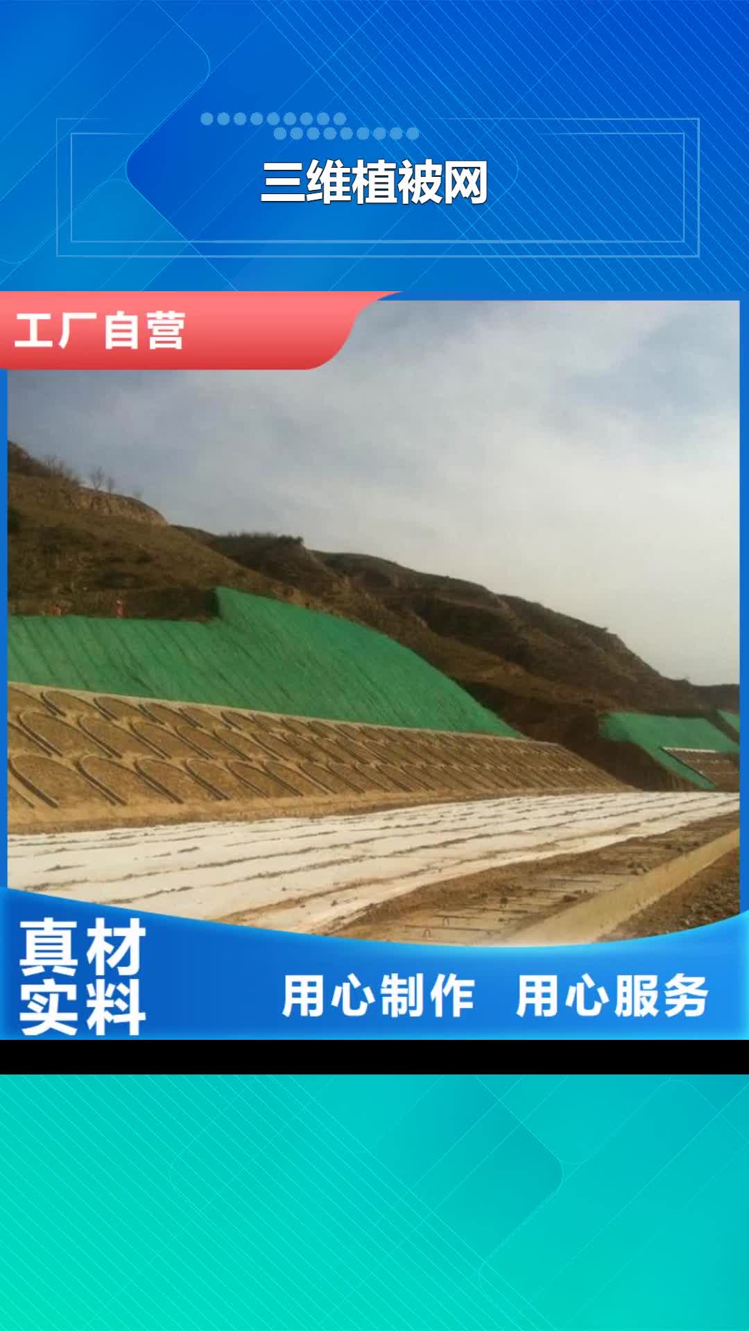 安顺【三维植被网】,HDPE土工膜型号齐全