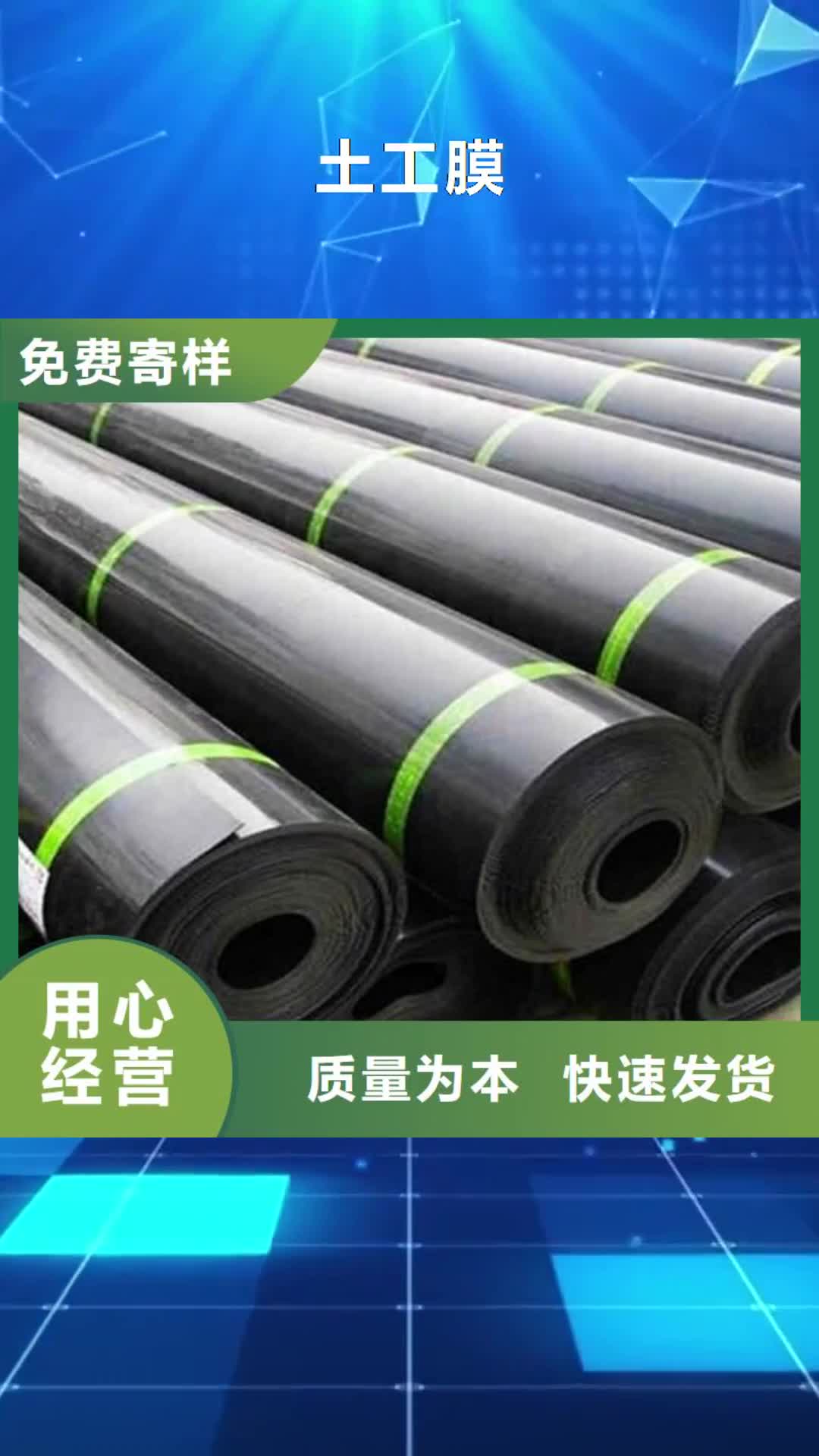 哈尔滨 土工膜 【涤纶格栅】准时交付