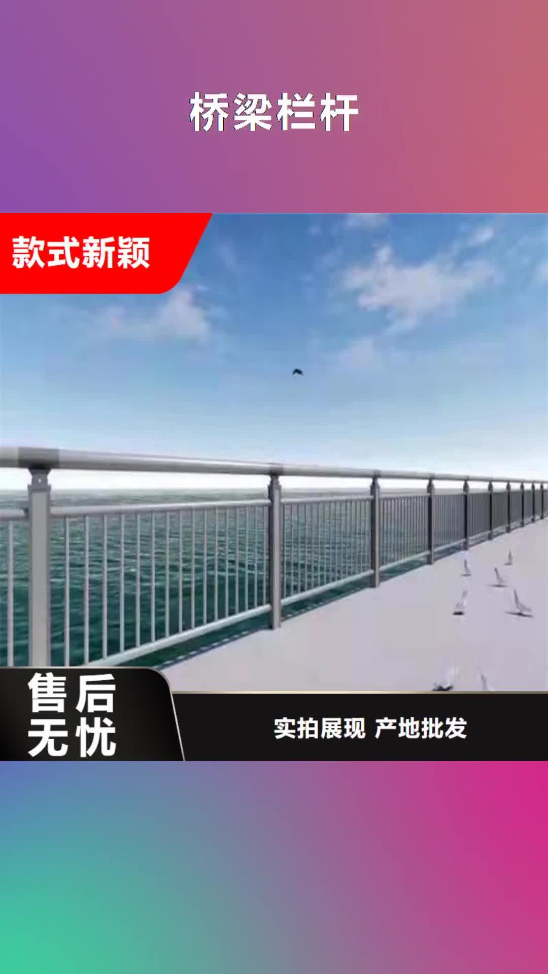 【温州 桥梁栏杆,不锈钢护栏严谨工艺】