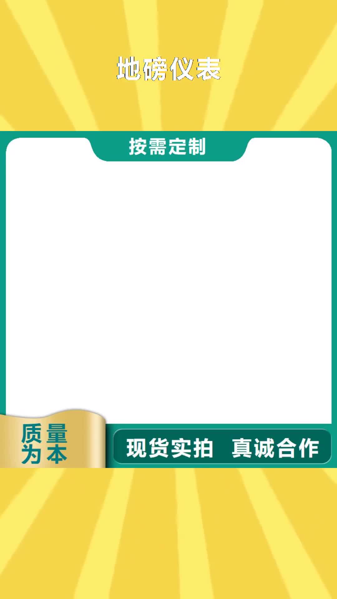 周口 地磅仪表,【地磅传感器】服务始终如一