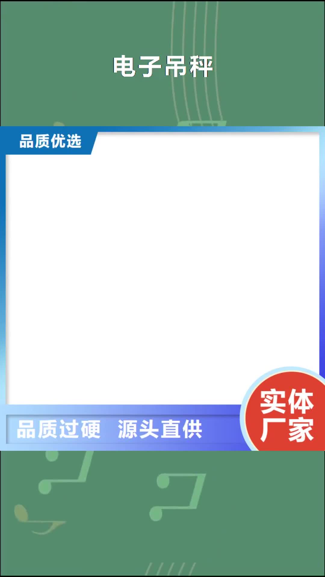 黔西南 电子吊秤_【称重传感器】细节严格凸显品质