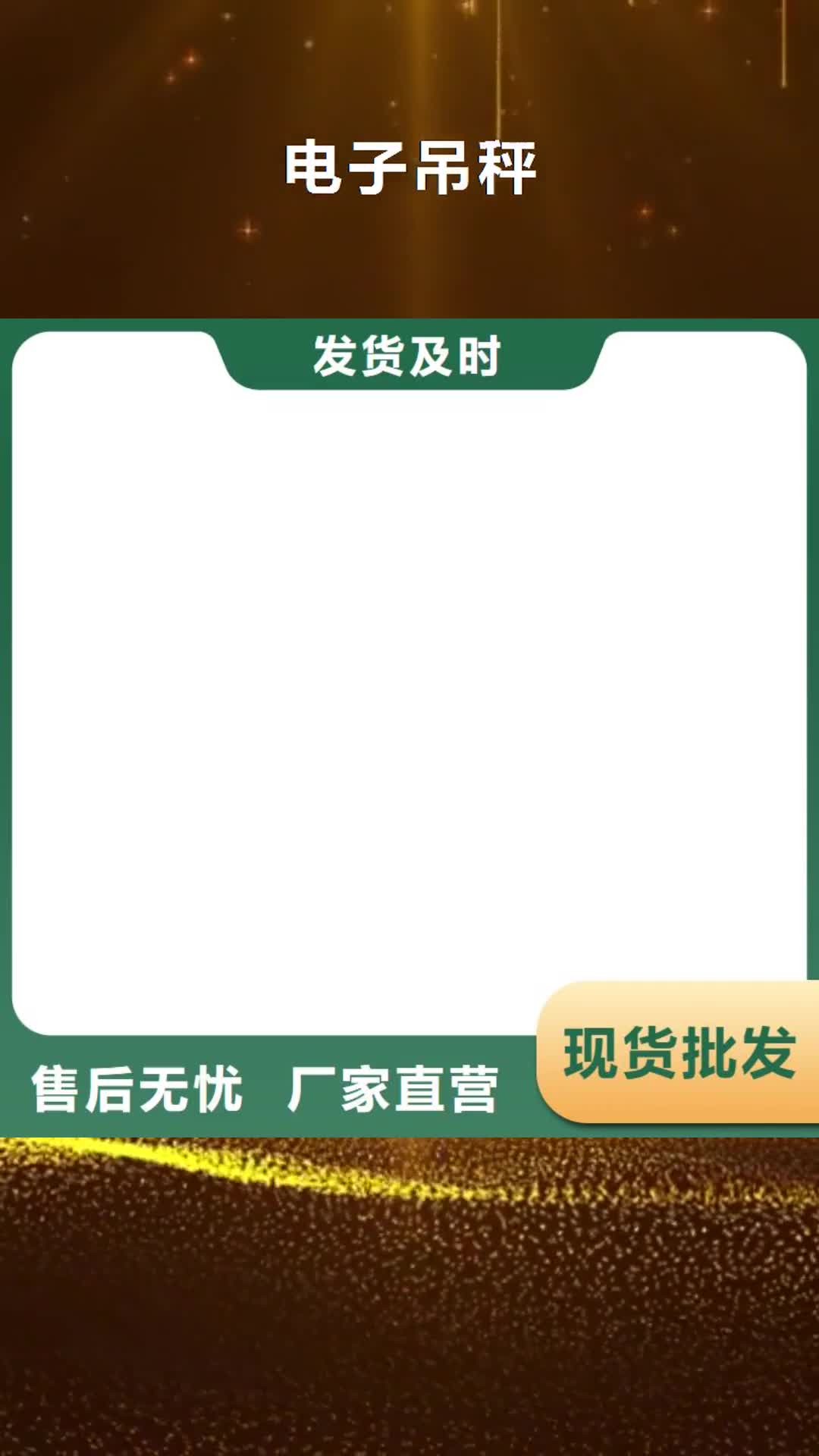 黔西南 电子吊秤【铲车秤】用心做好细节