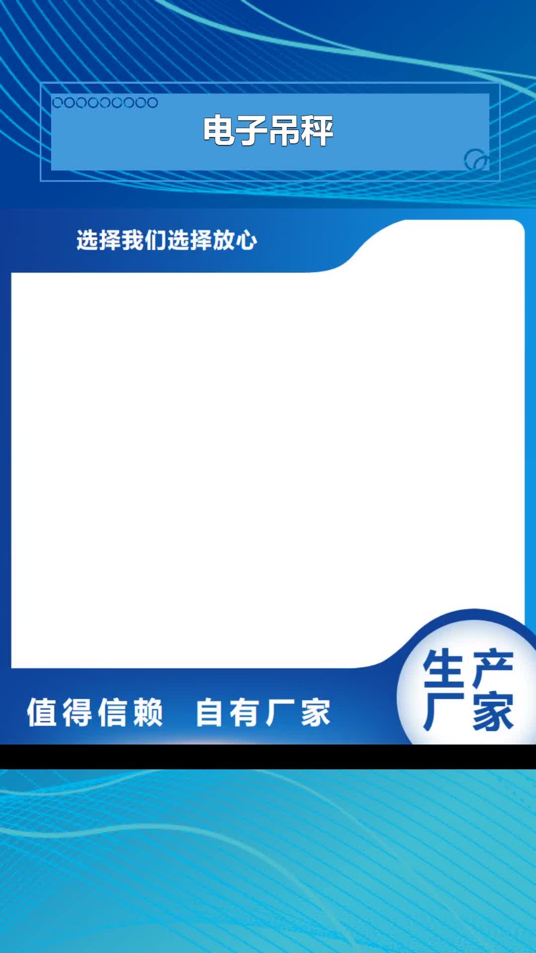 【广东 电子吊秤 地磅售后无忧】