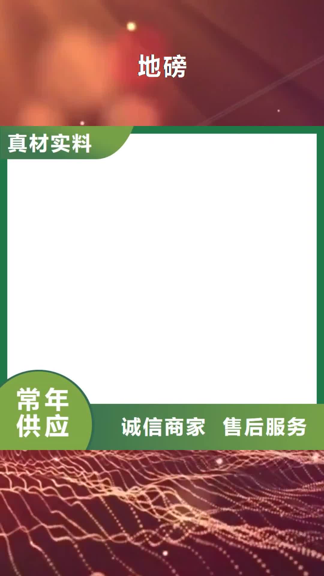 【益阳 地磅 电子地磅维修供应采购】