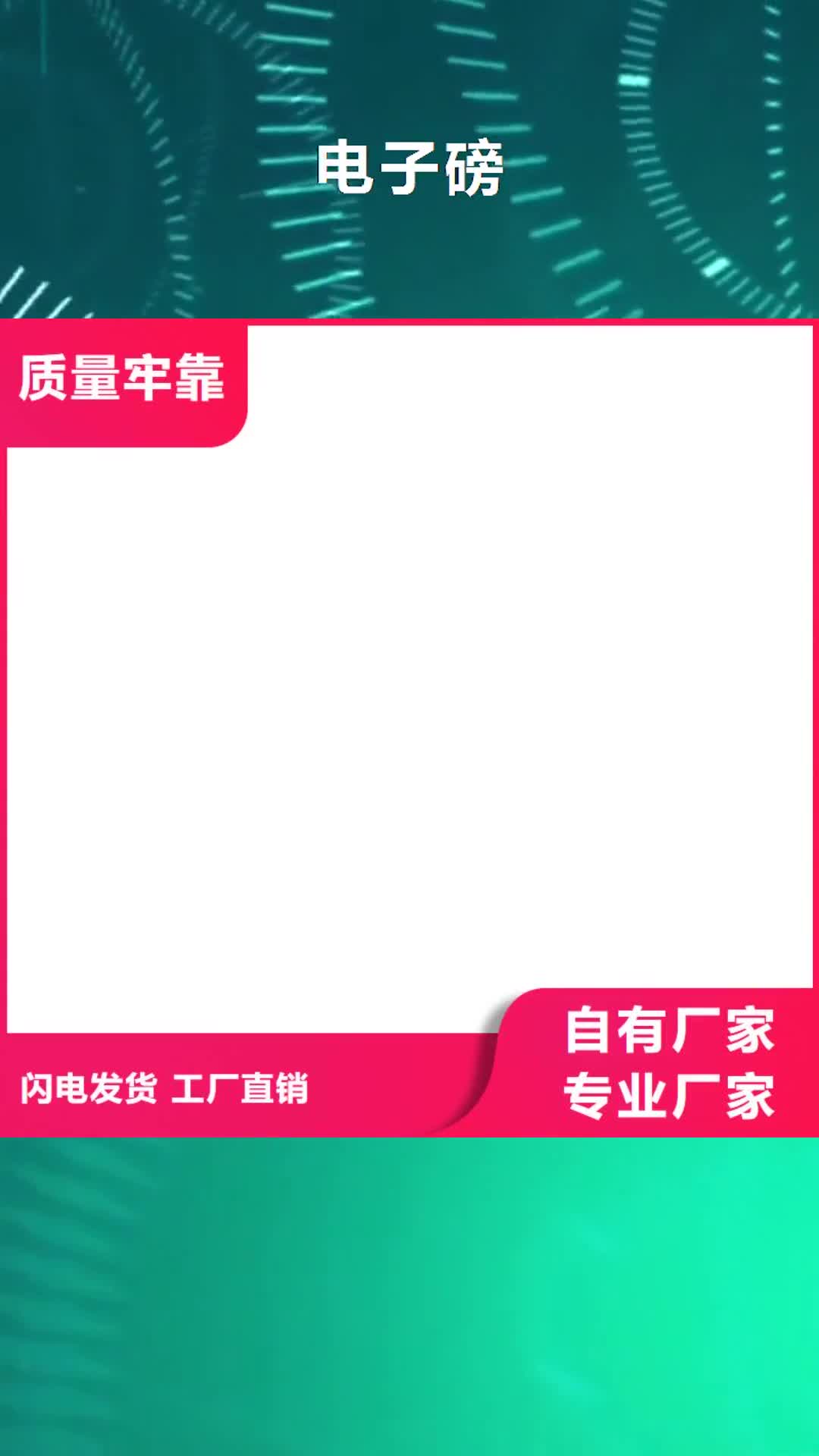 山南 电子磅性能稳定